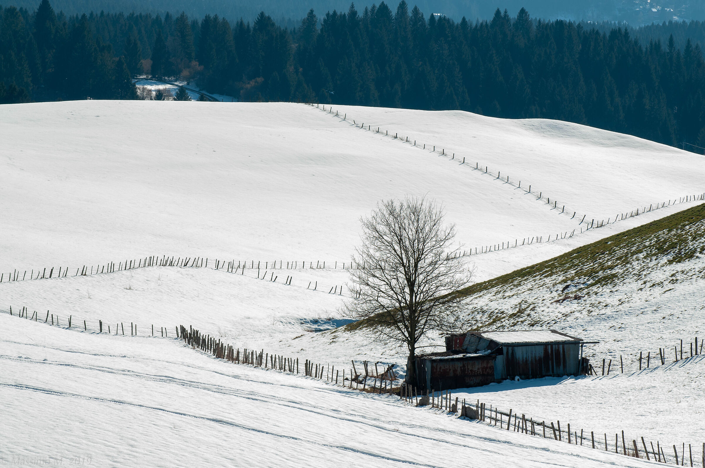 Neve