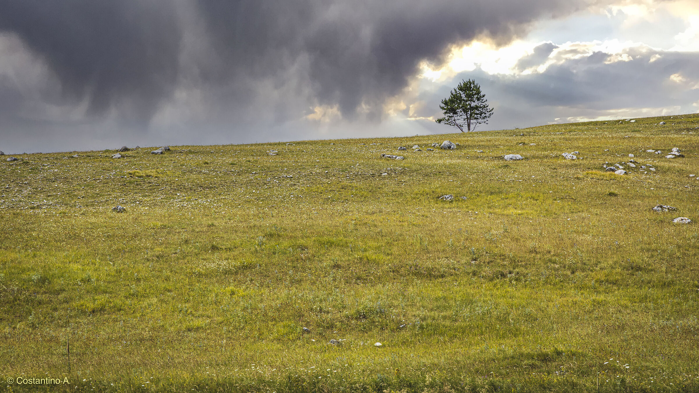 ... the sun will come back!