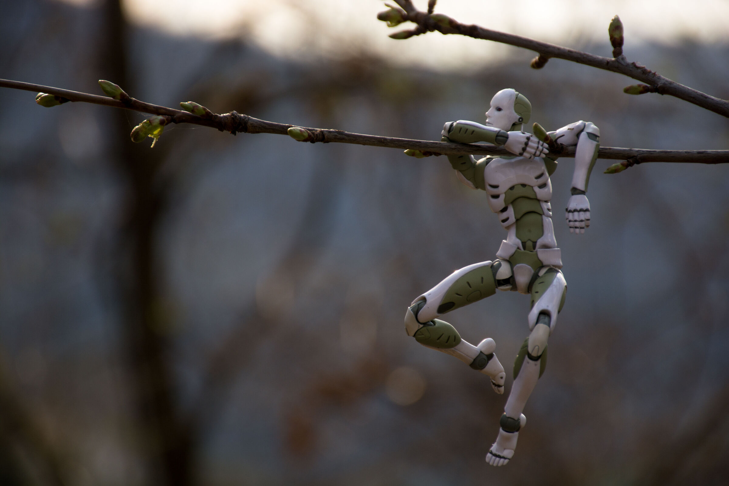 Quando non c'è campo...