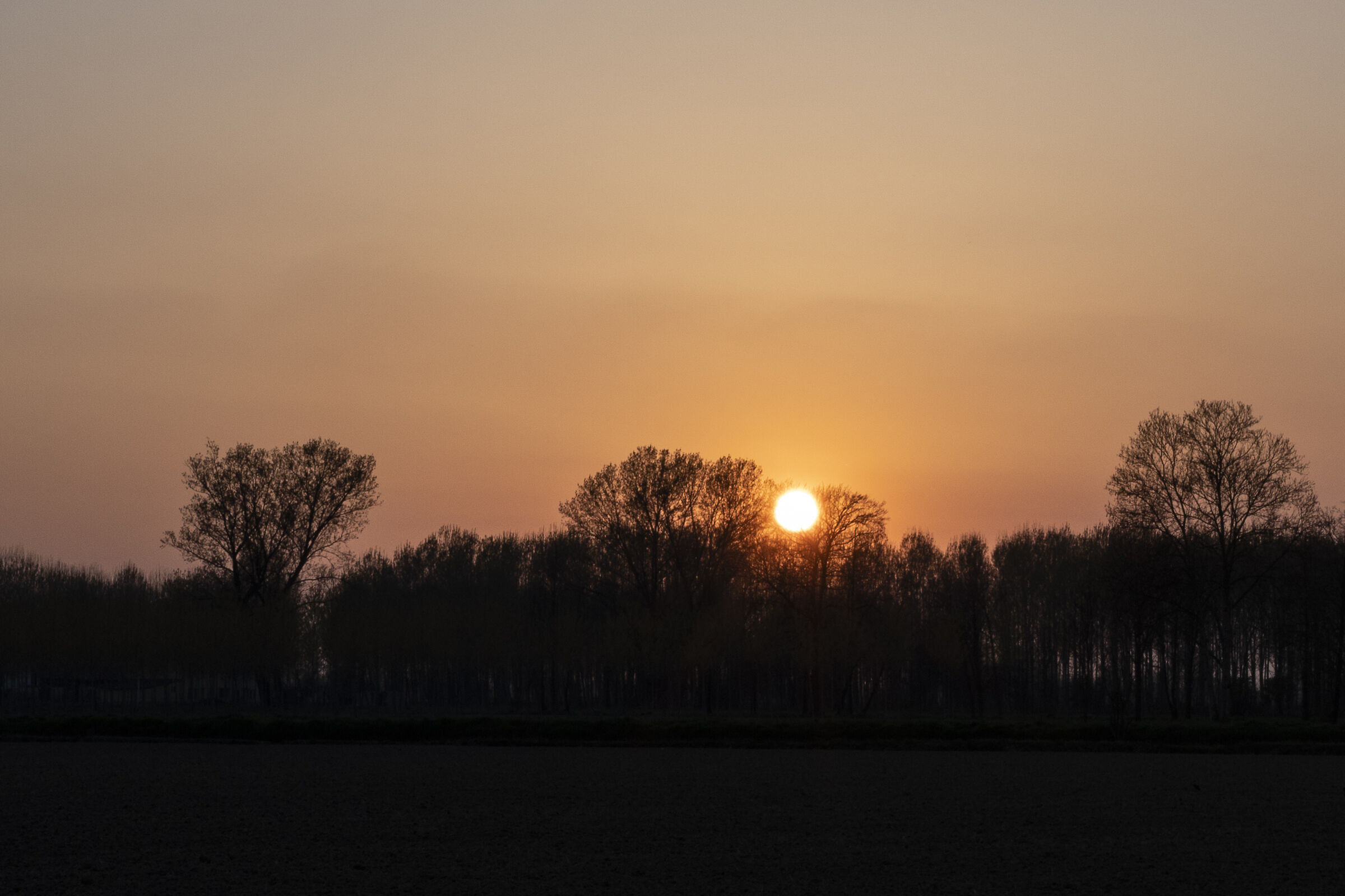 Tramonto bassa pavese