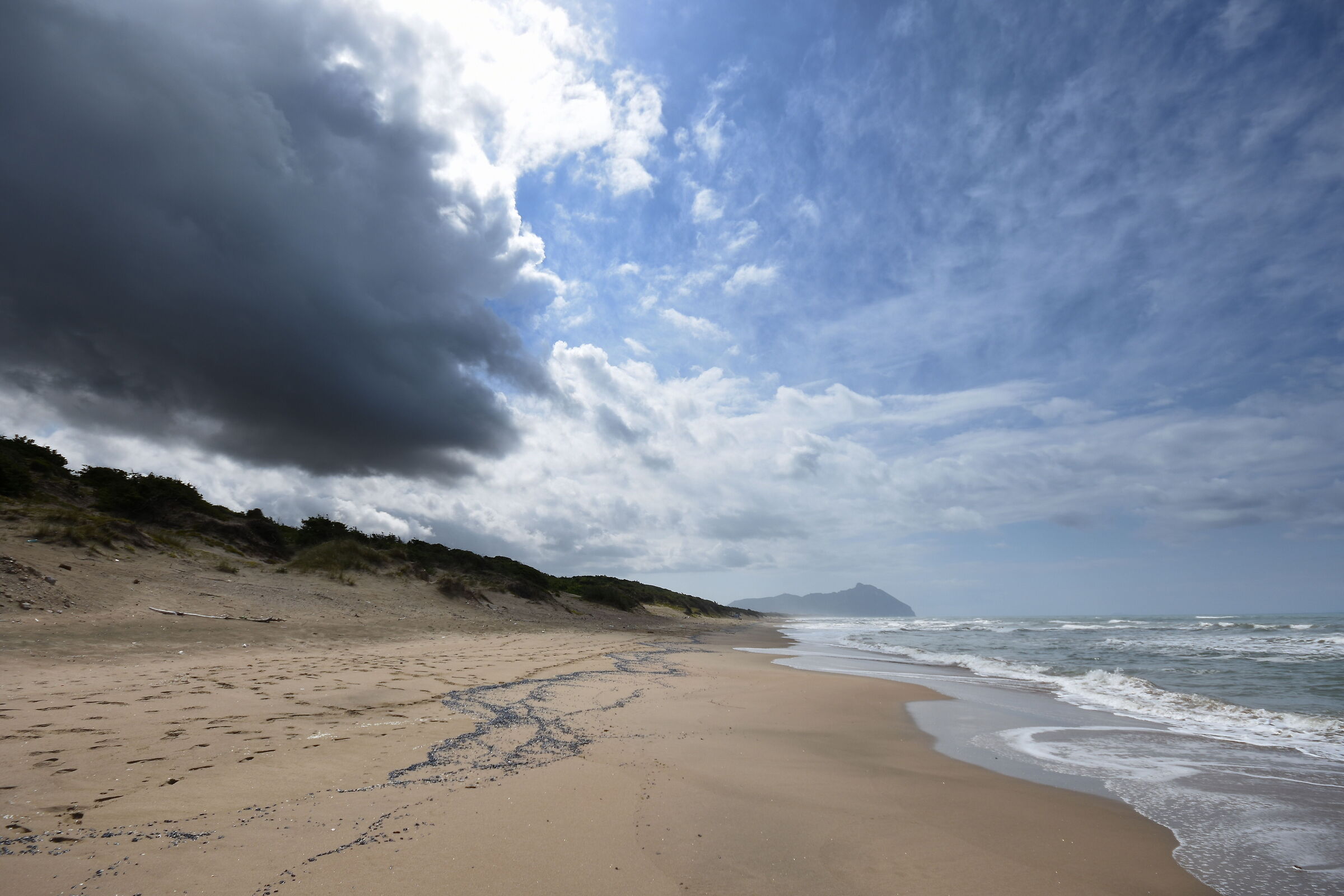 Spiaggia di Sabaudia (lt)