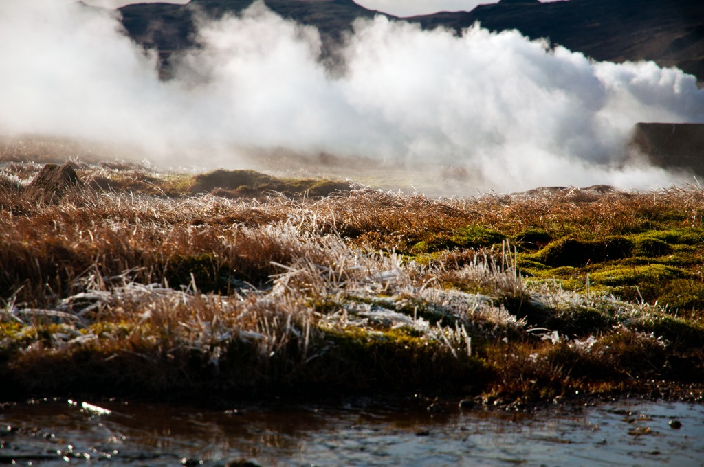 Geysir