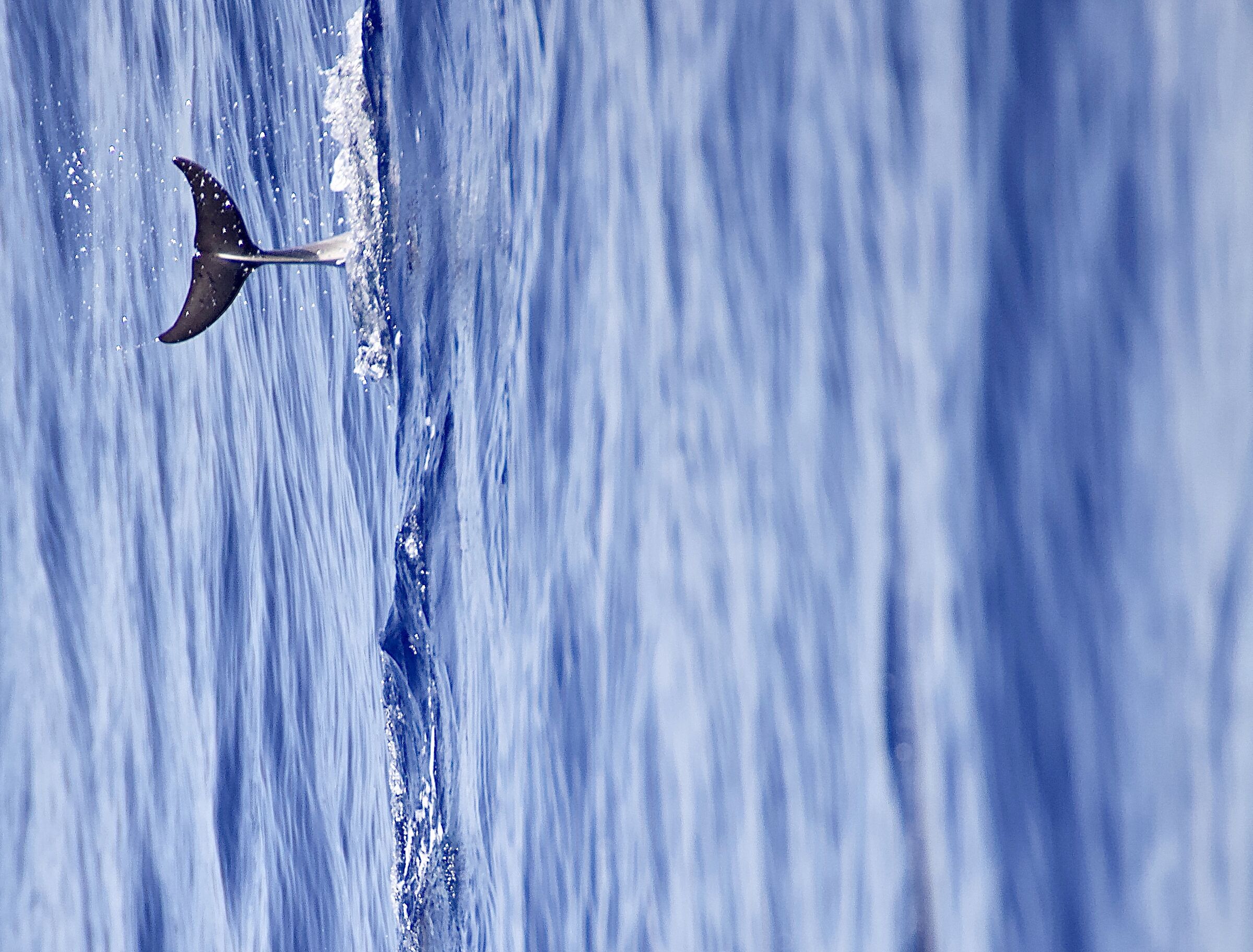 The Shapes of the Moon...