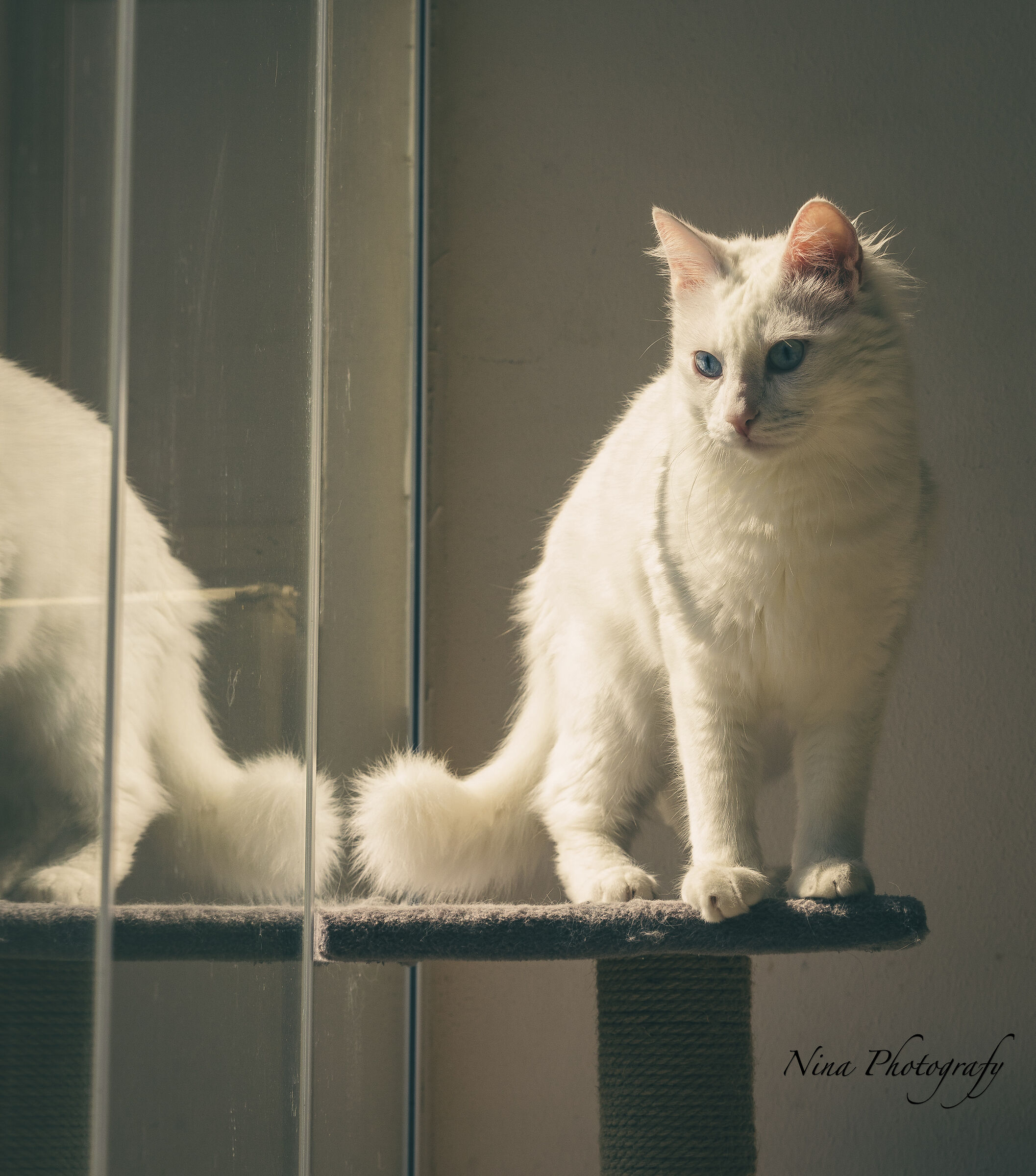 Untitled Photo