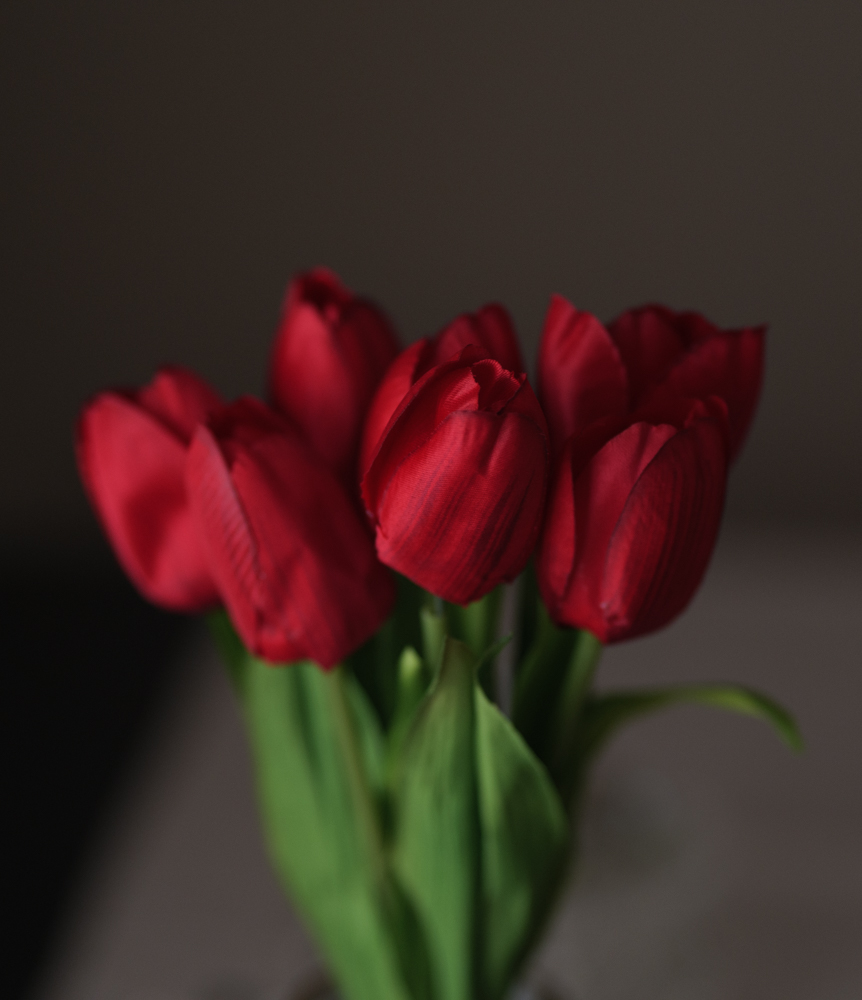 prova lumix S85 f1.8