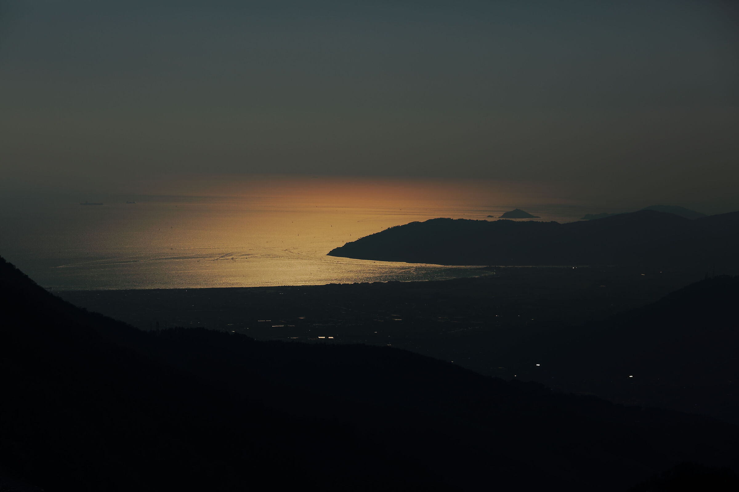 Where david's gaze rests