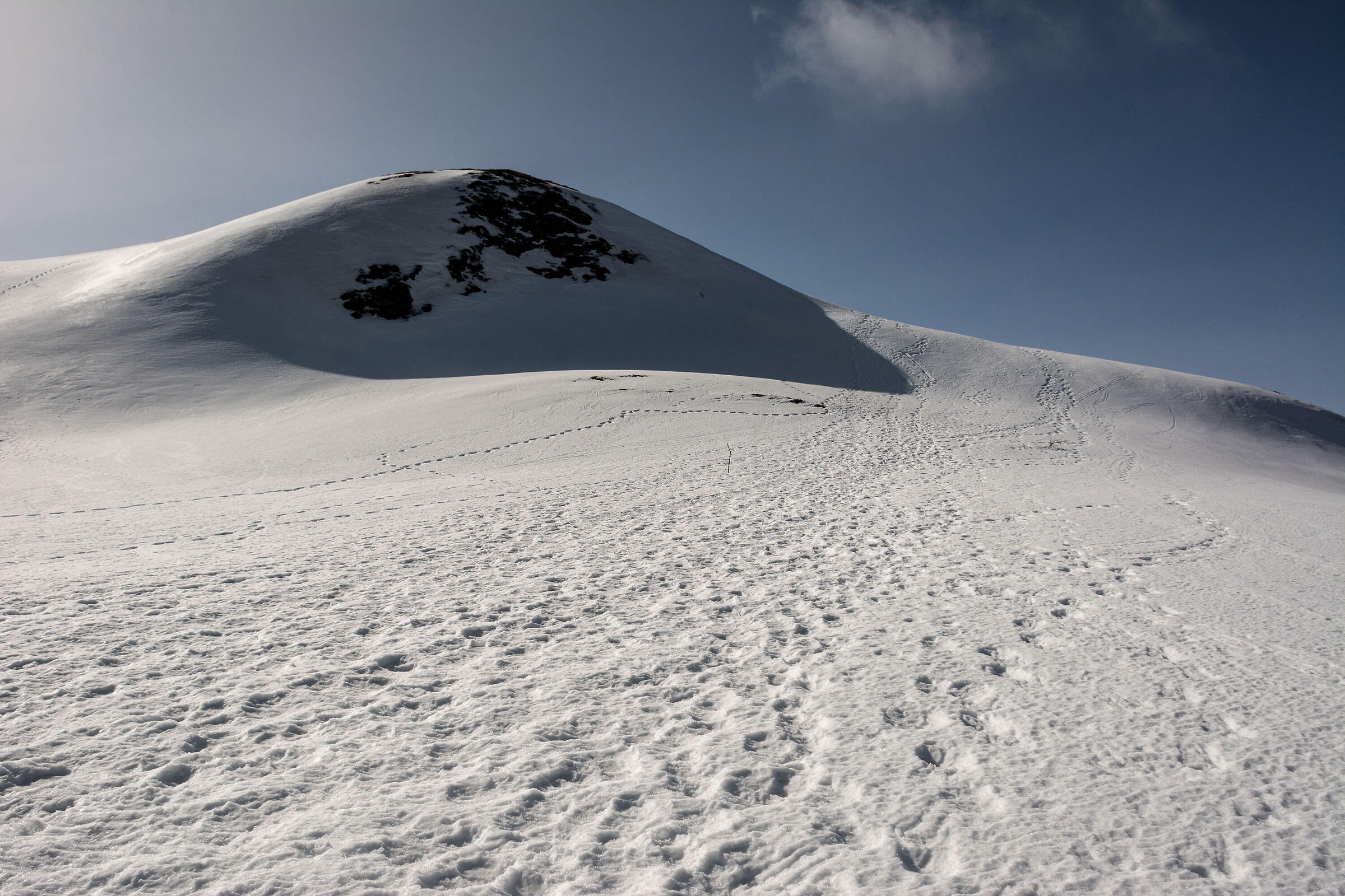Sulla neve della Val d'Aveto
