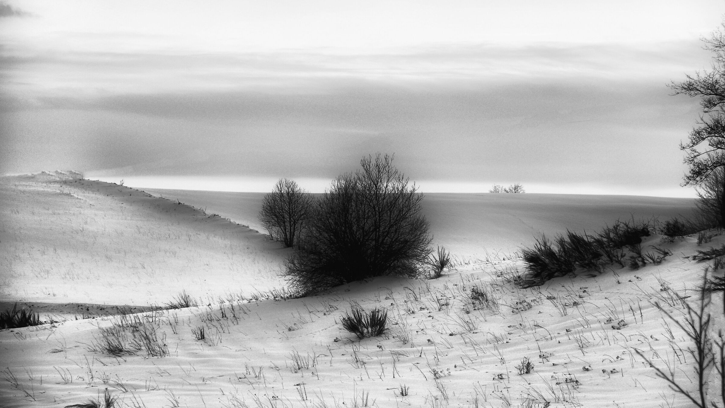 Una sera sull'altipiano silano