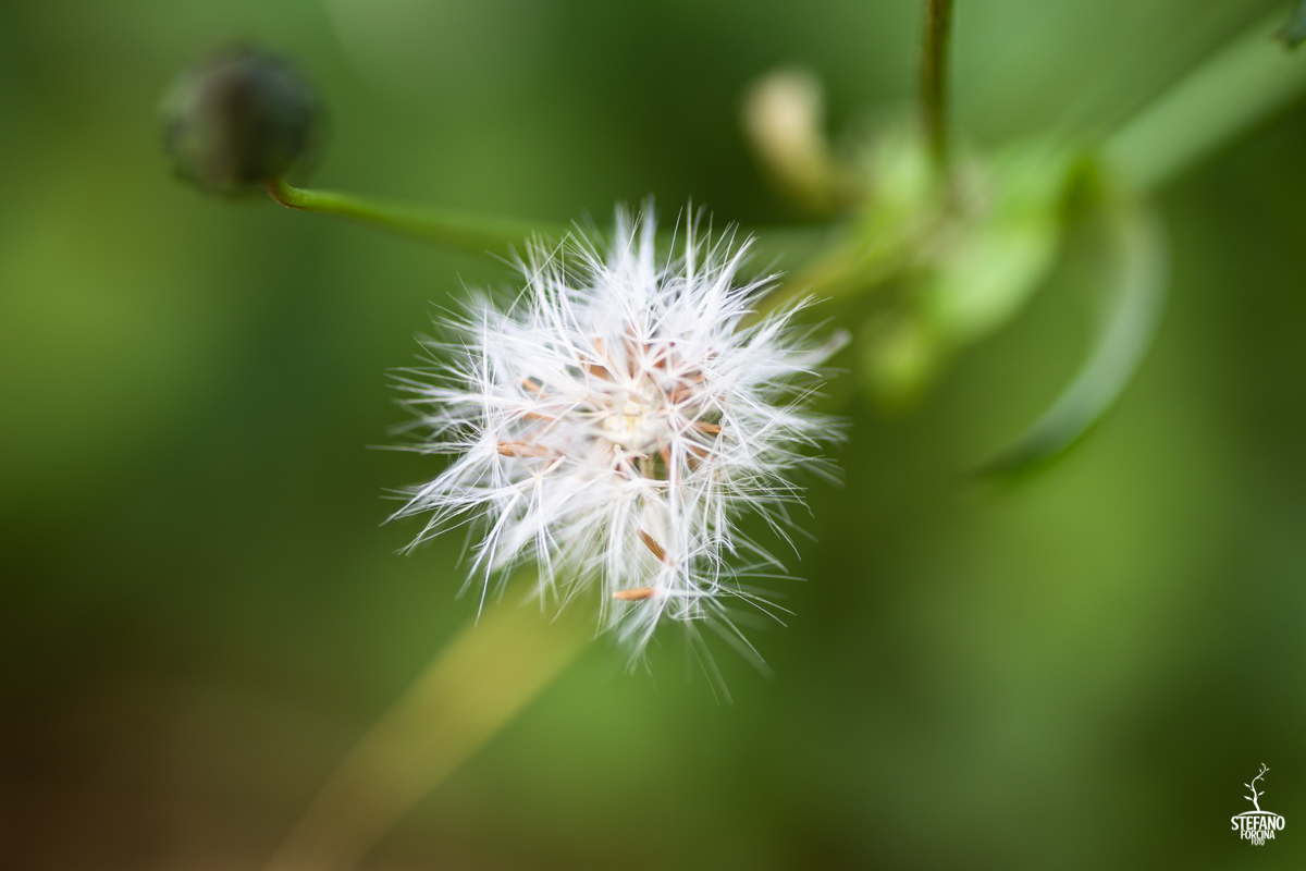 The beauty of fragility
