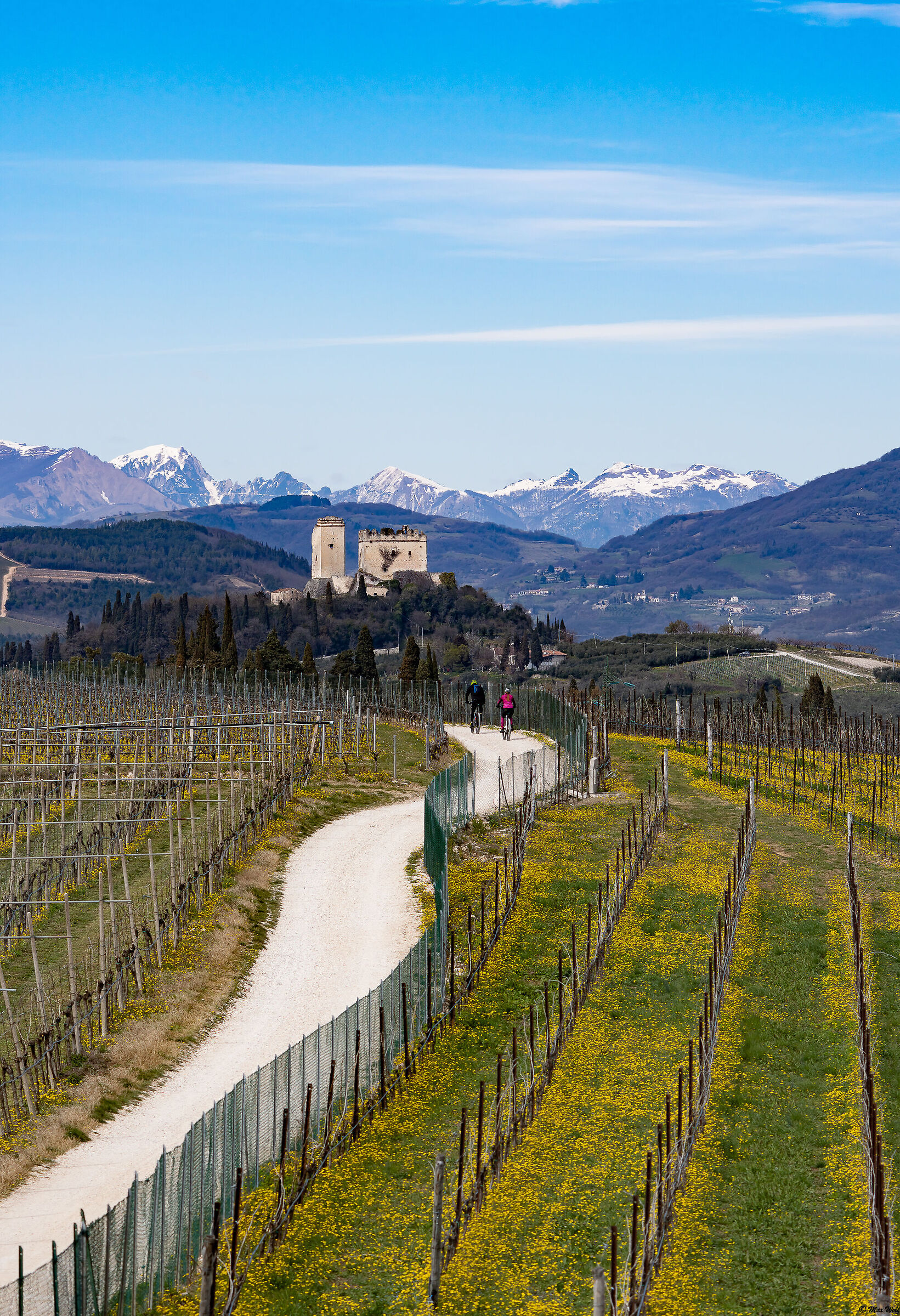 Non ci resta che P...asseggiare !!