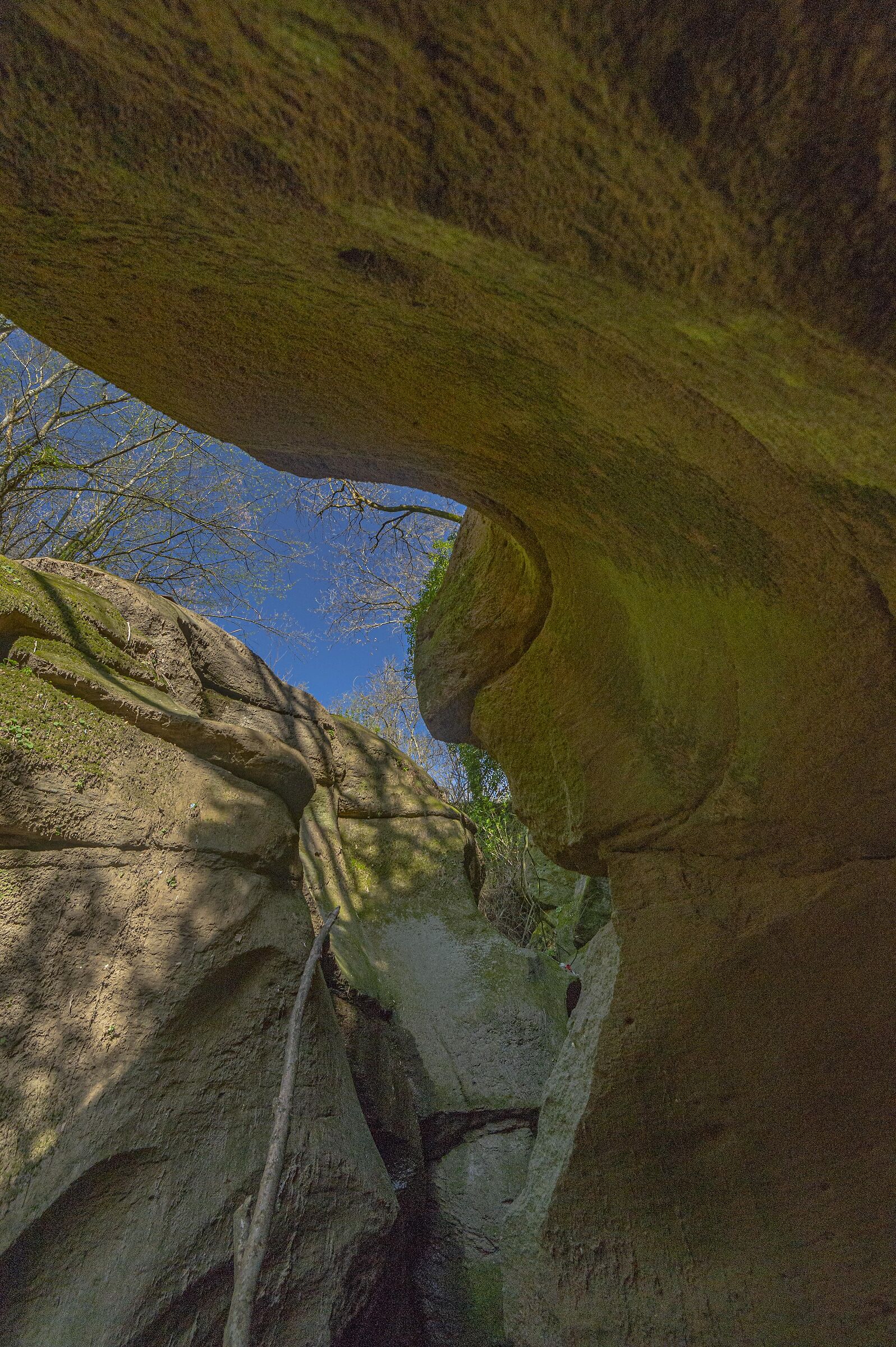 marmette del salto del mascella