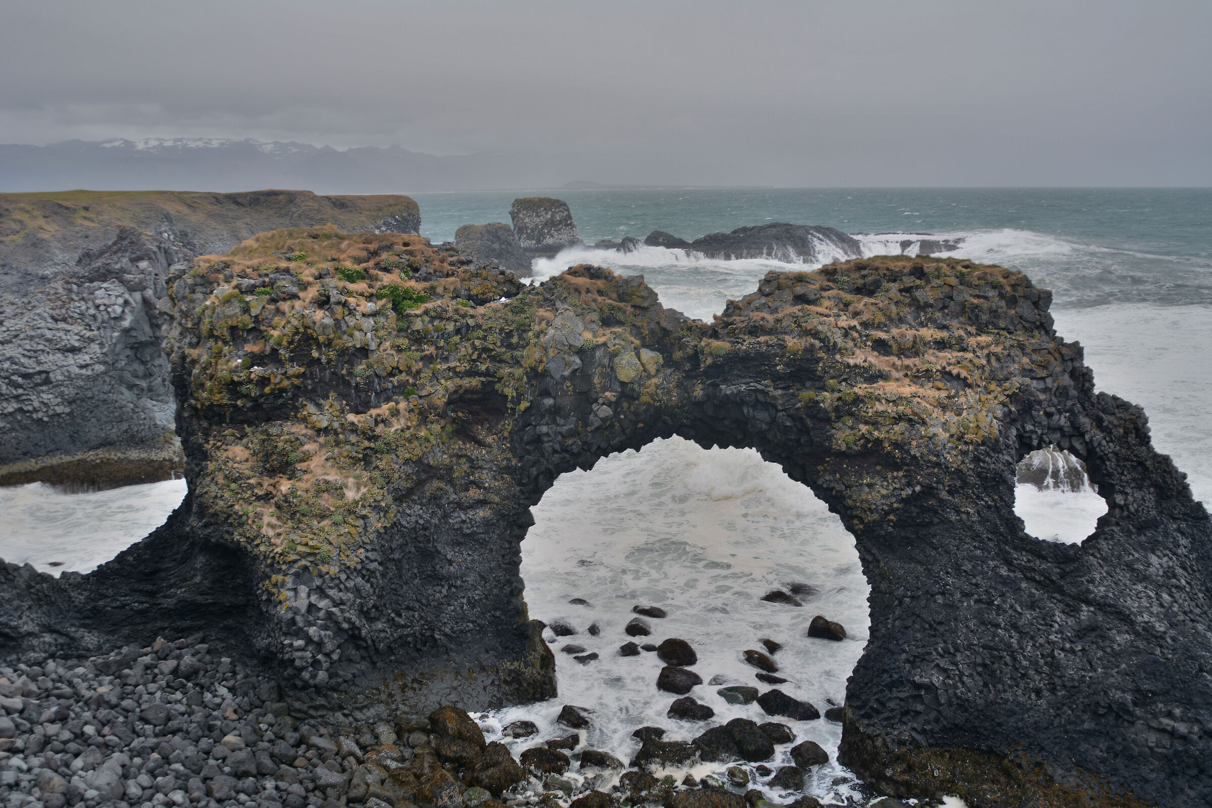 Iceland, cliffs of Arnarstapi