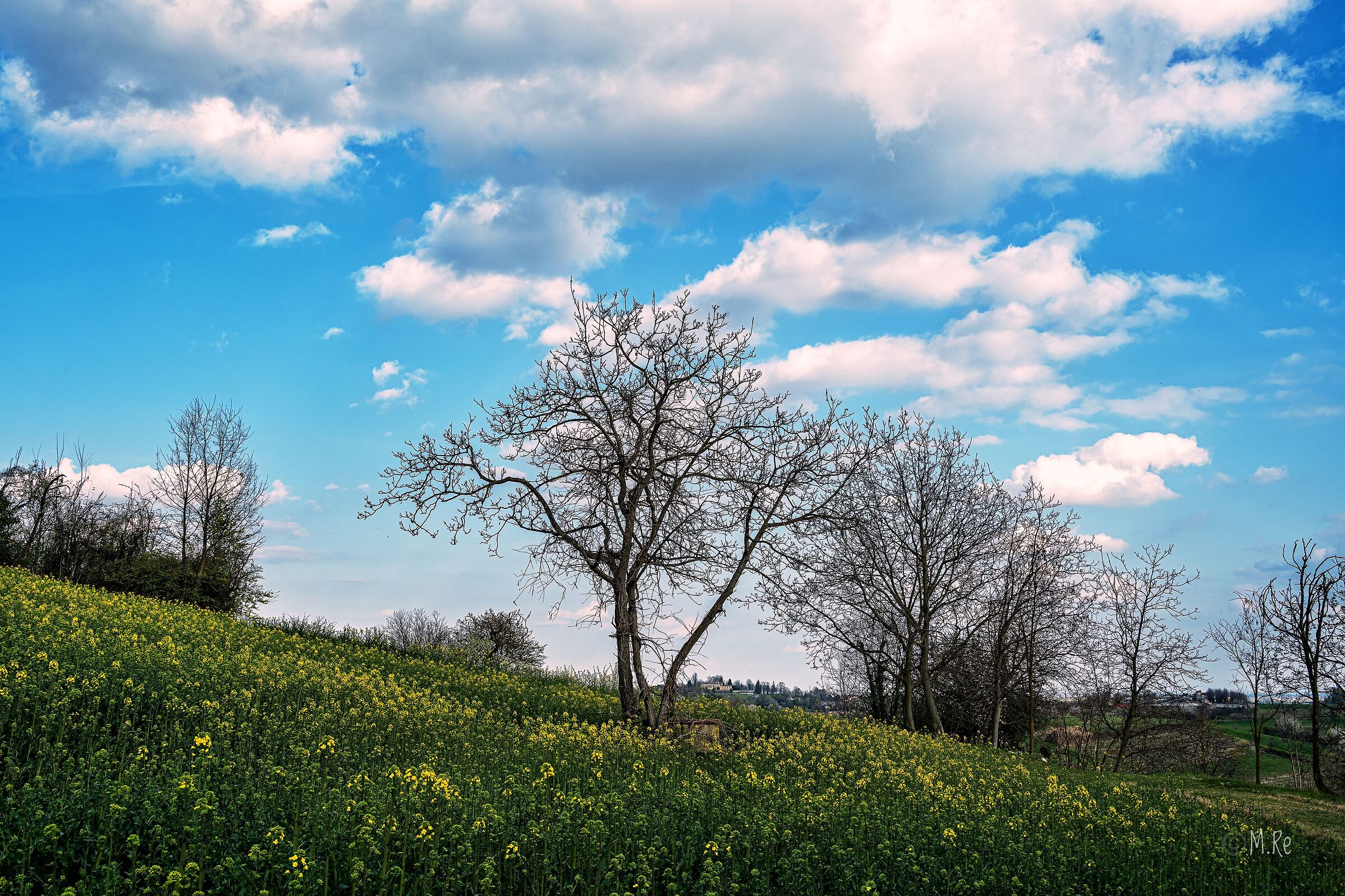 Spring time