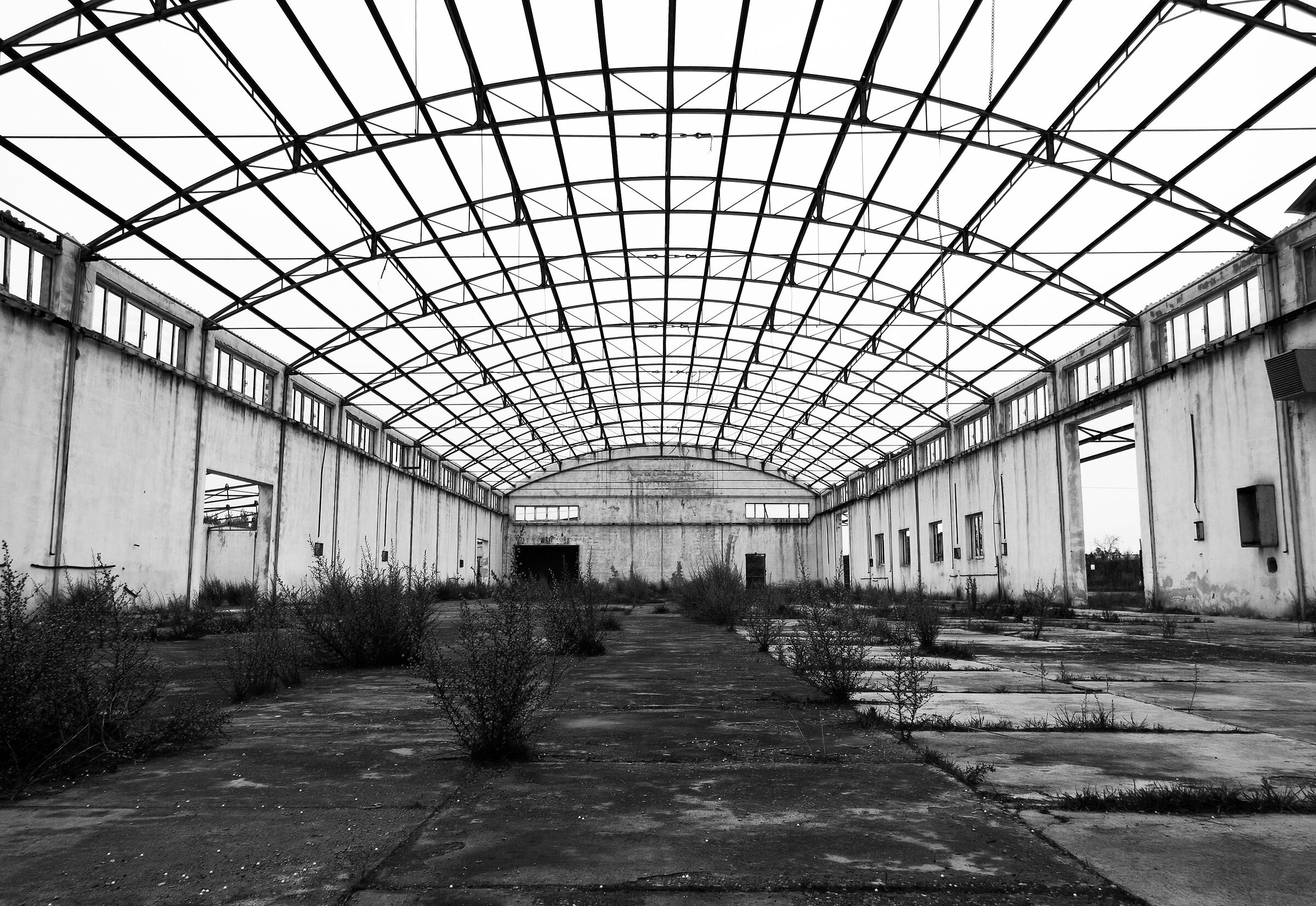 L'estetica del brutto