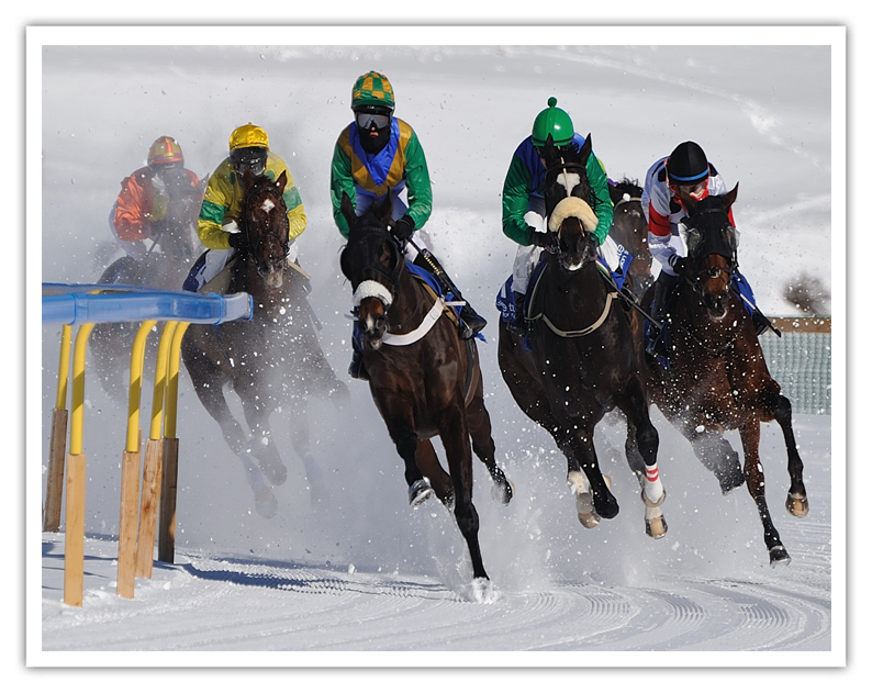 Horse Racing Ice S. Moritz