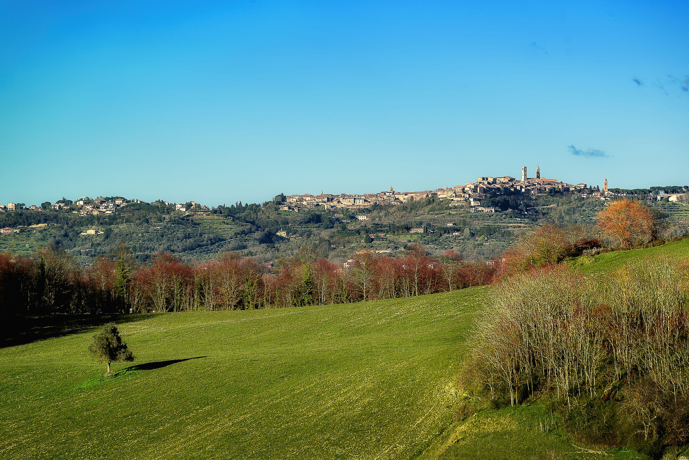 valdichiana meridionale con sfondo citta' della pieve