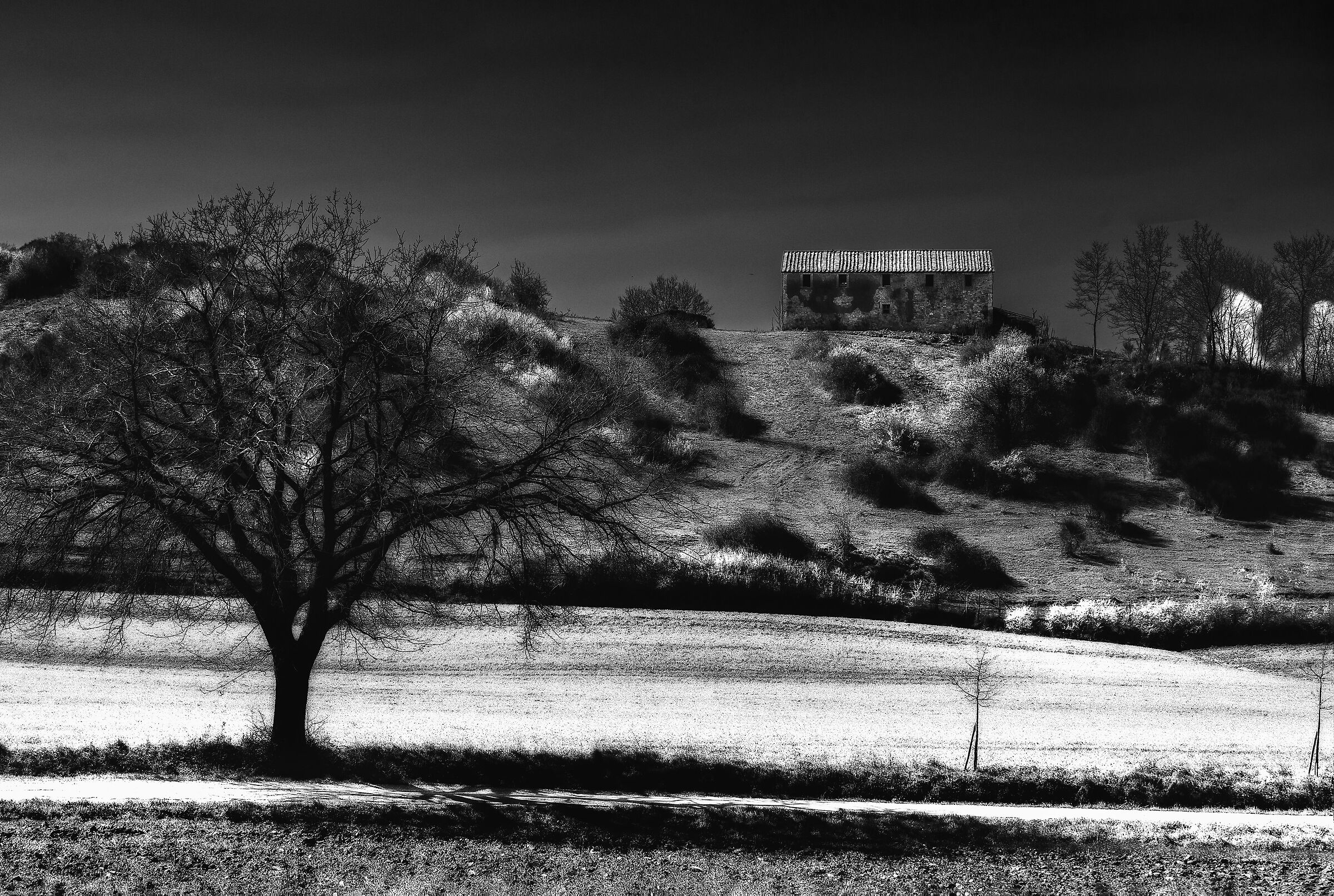 experiments of bianconero