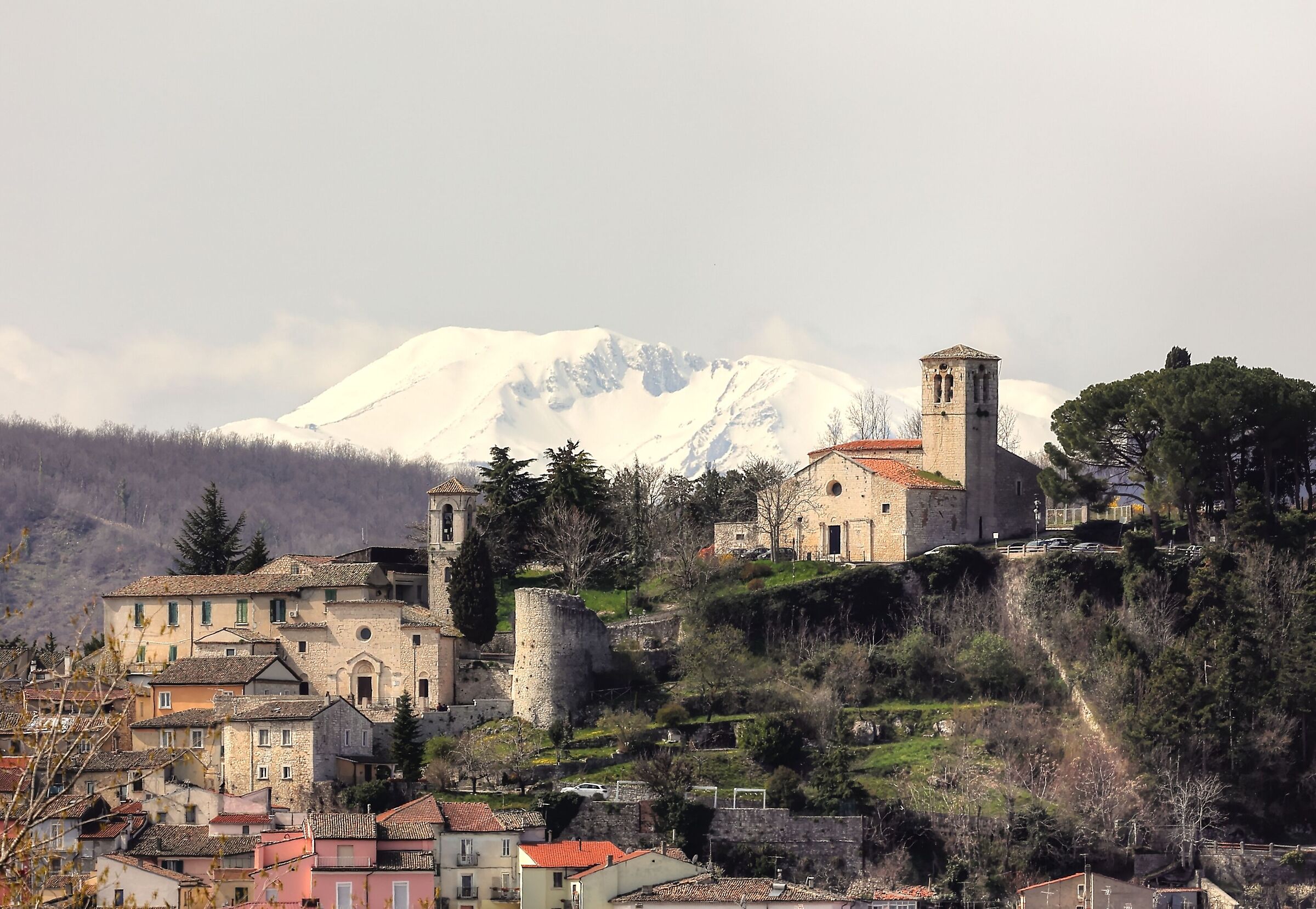 Shots under the house