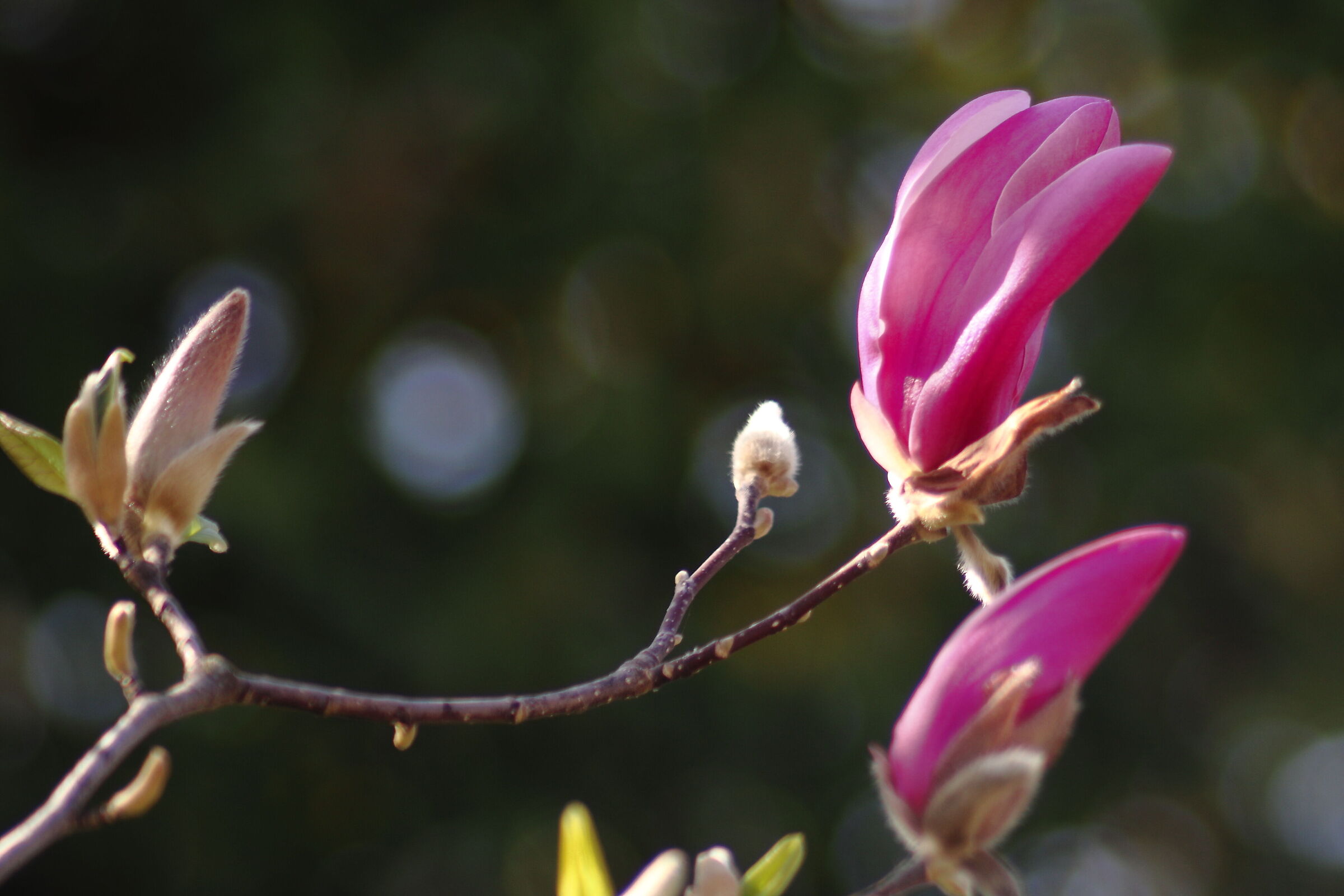 test 135 mm