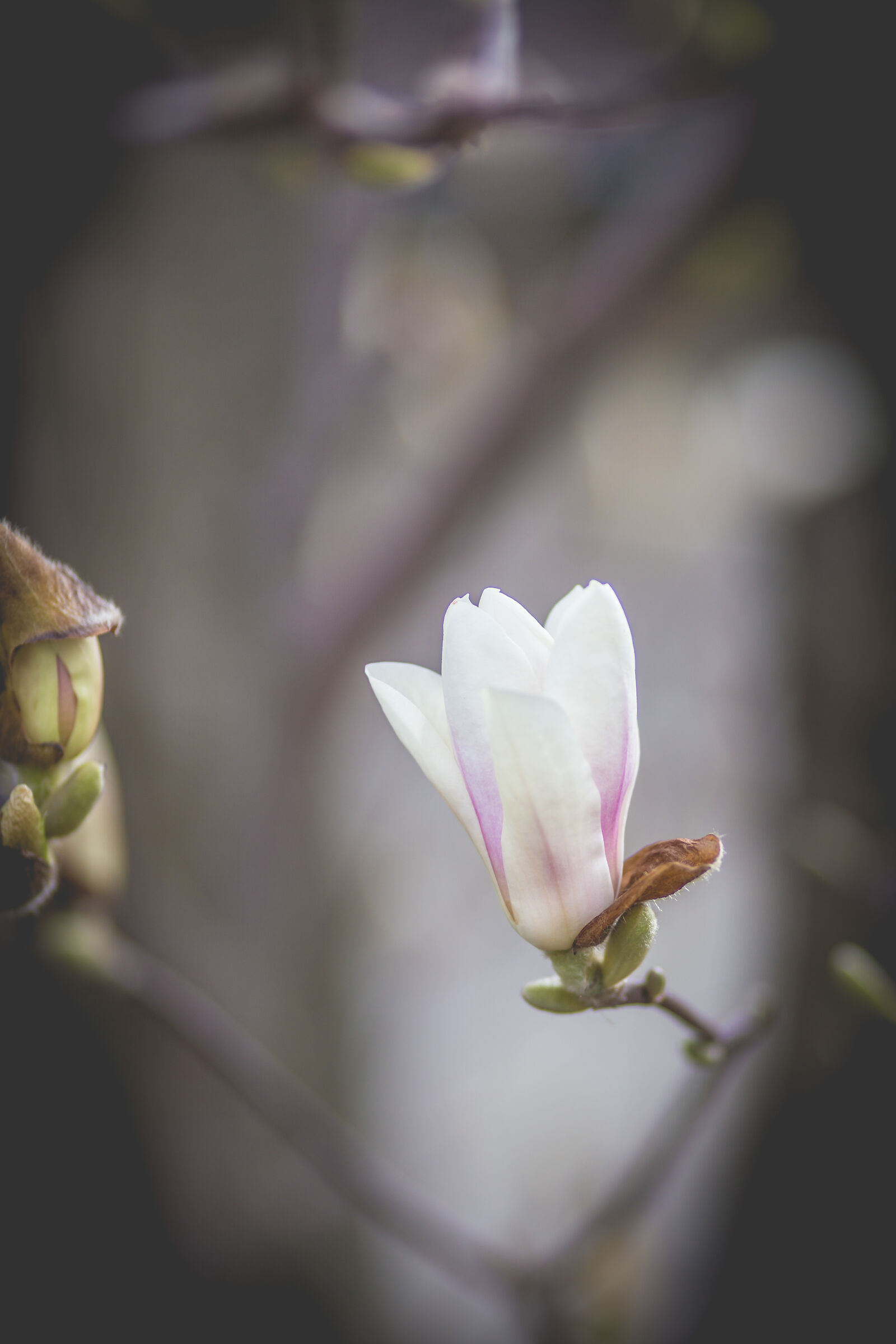 In the Garden of Eden