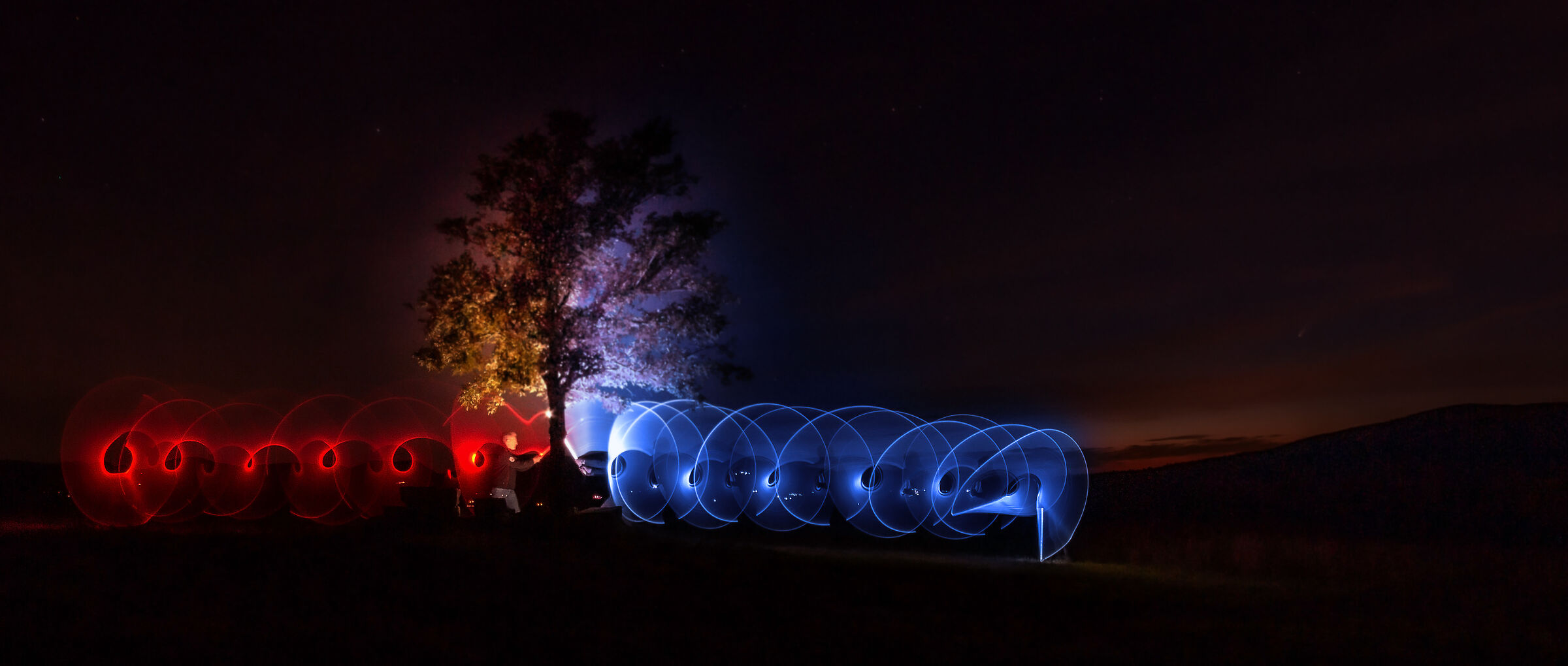 L_albero that divides forces