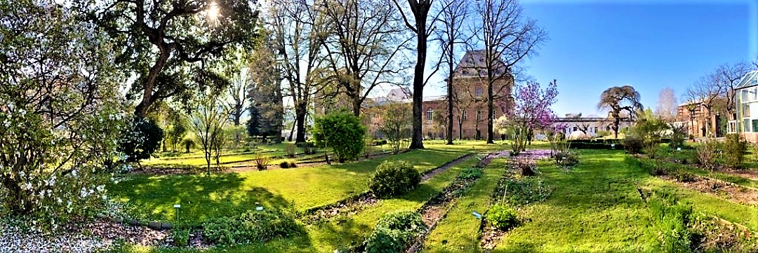 park in Turin