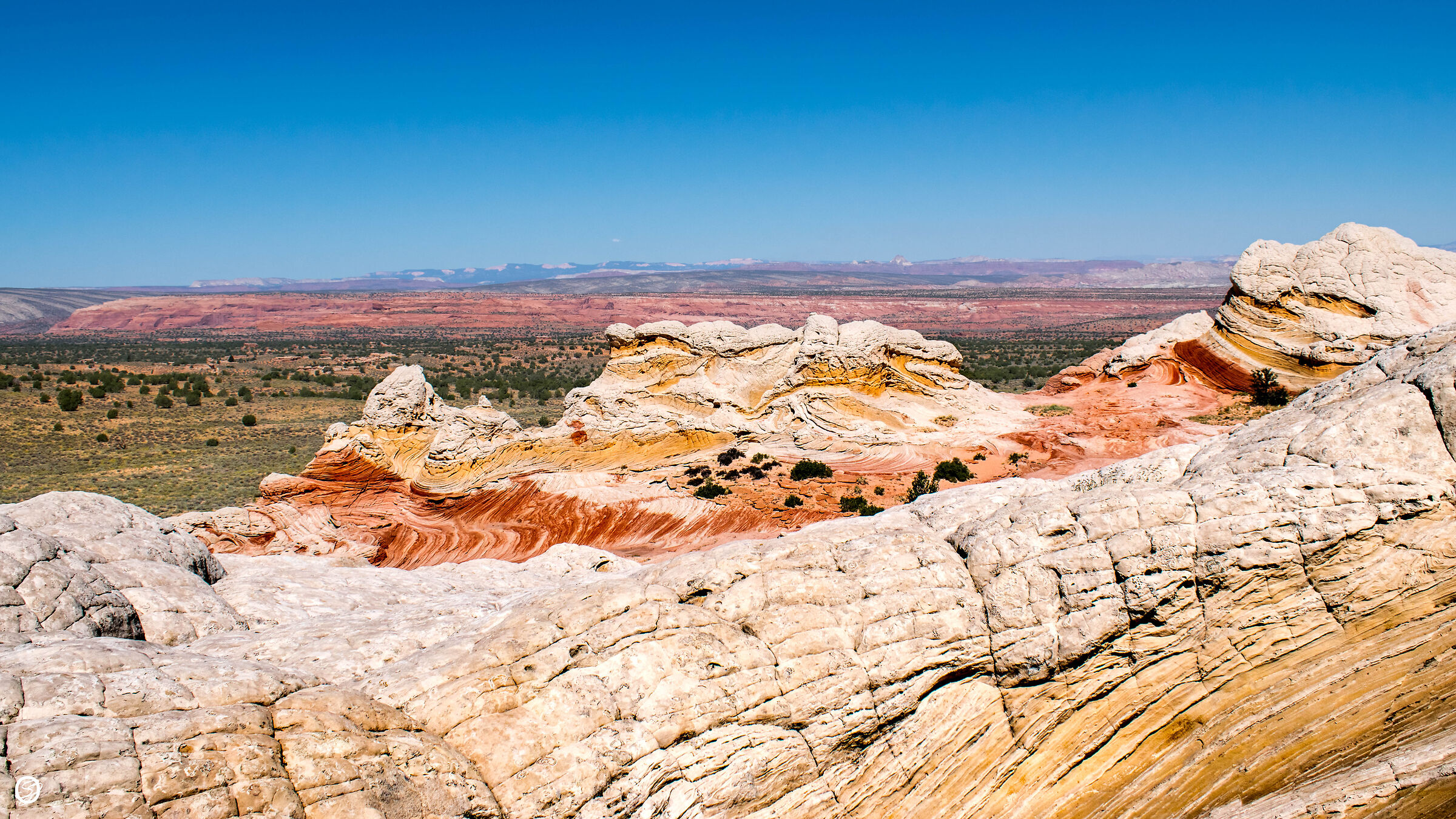 White Pocket -Utah