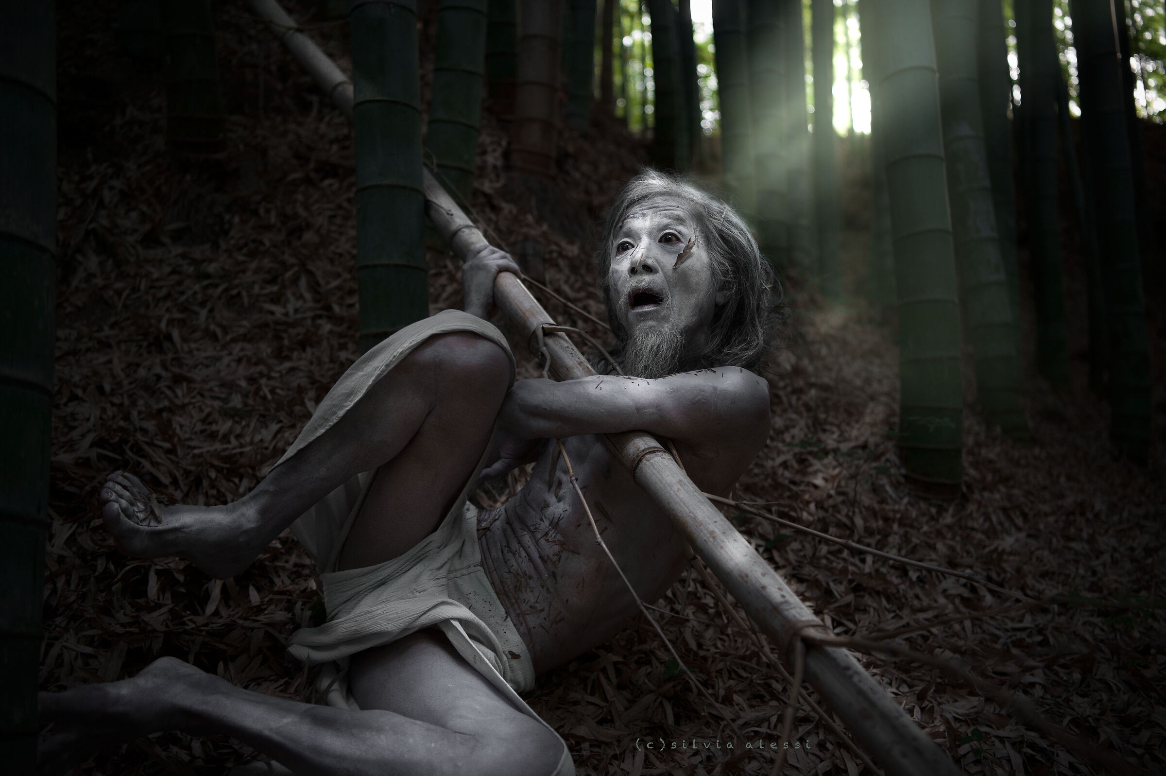 Metamorfosi e follia