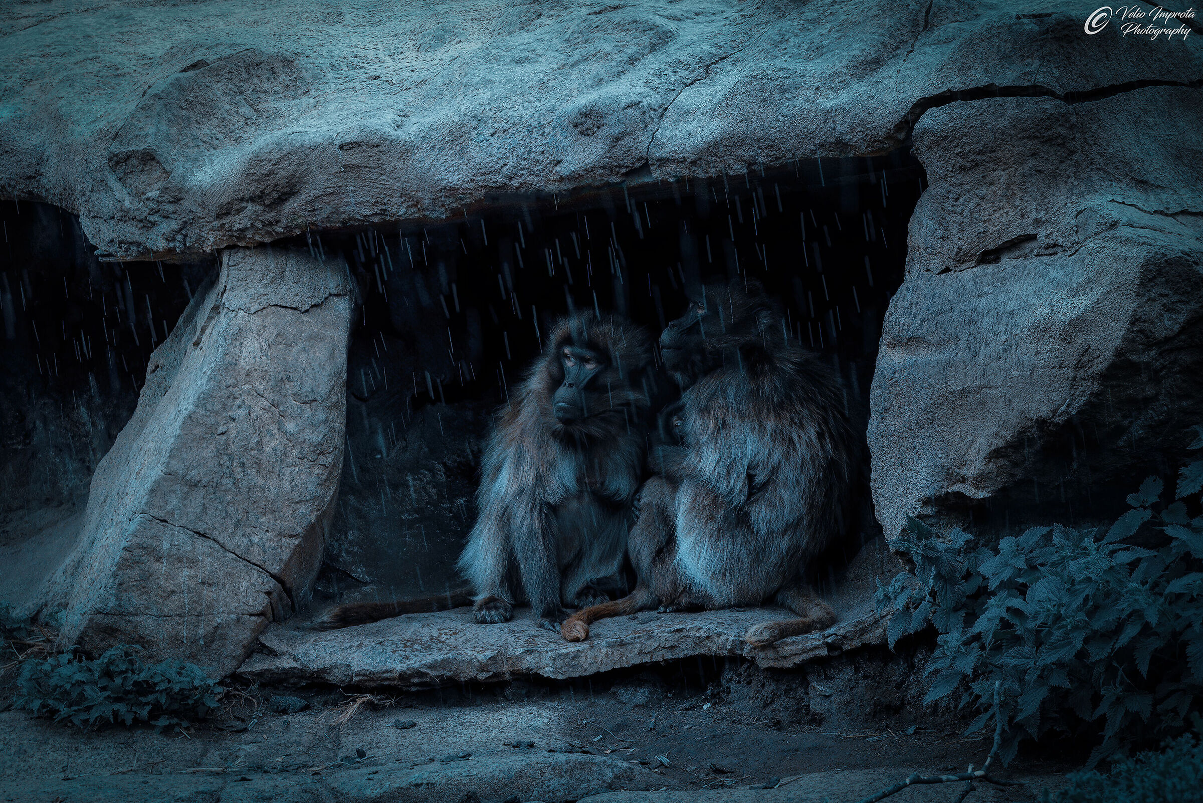 Non può piovere per sempre