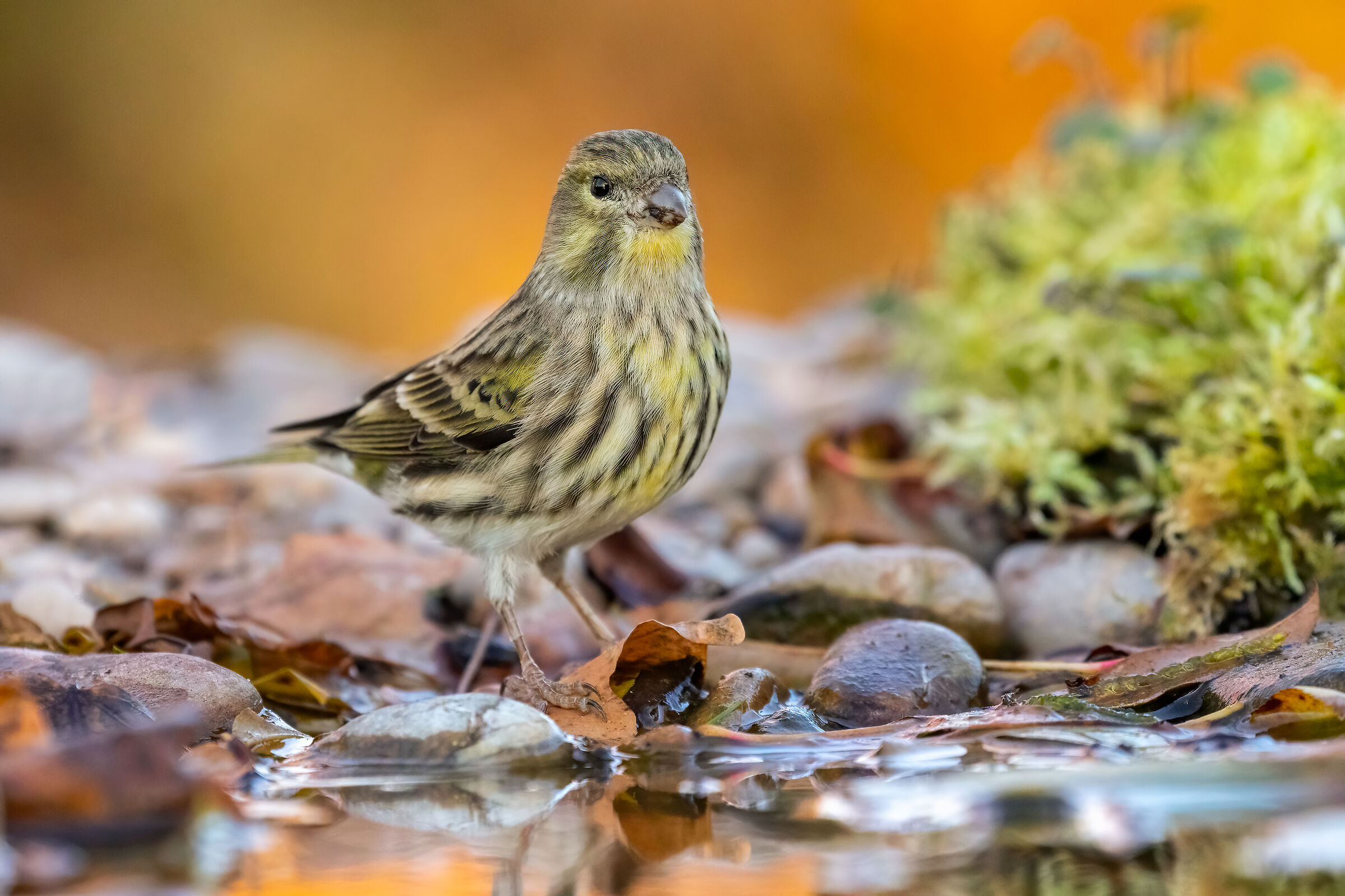 ..vicino all'acqua..