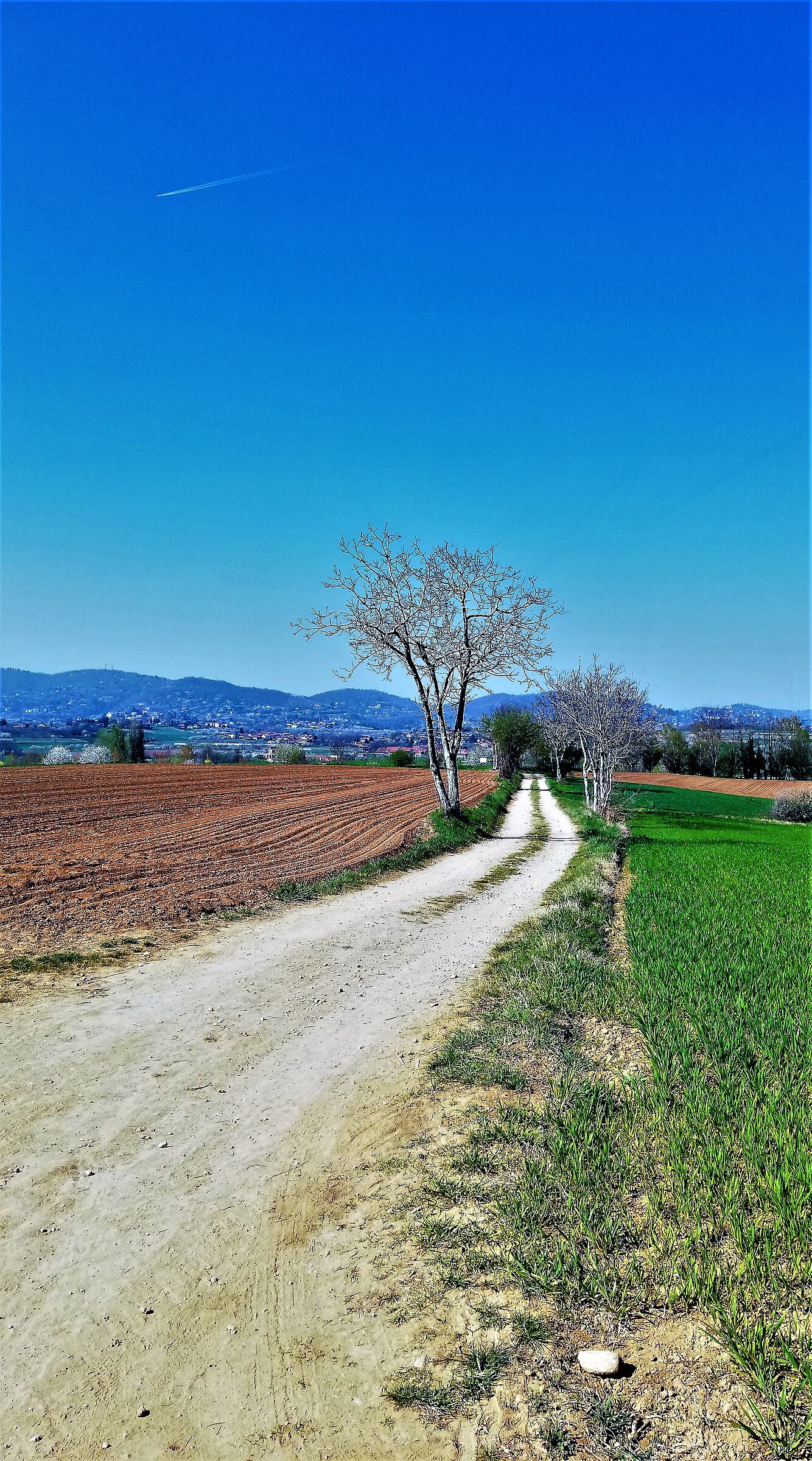 landscape by bike...