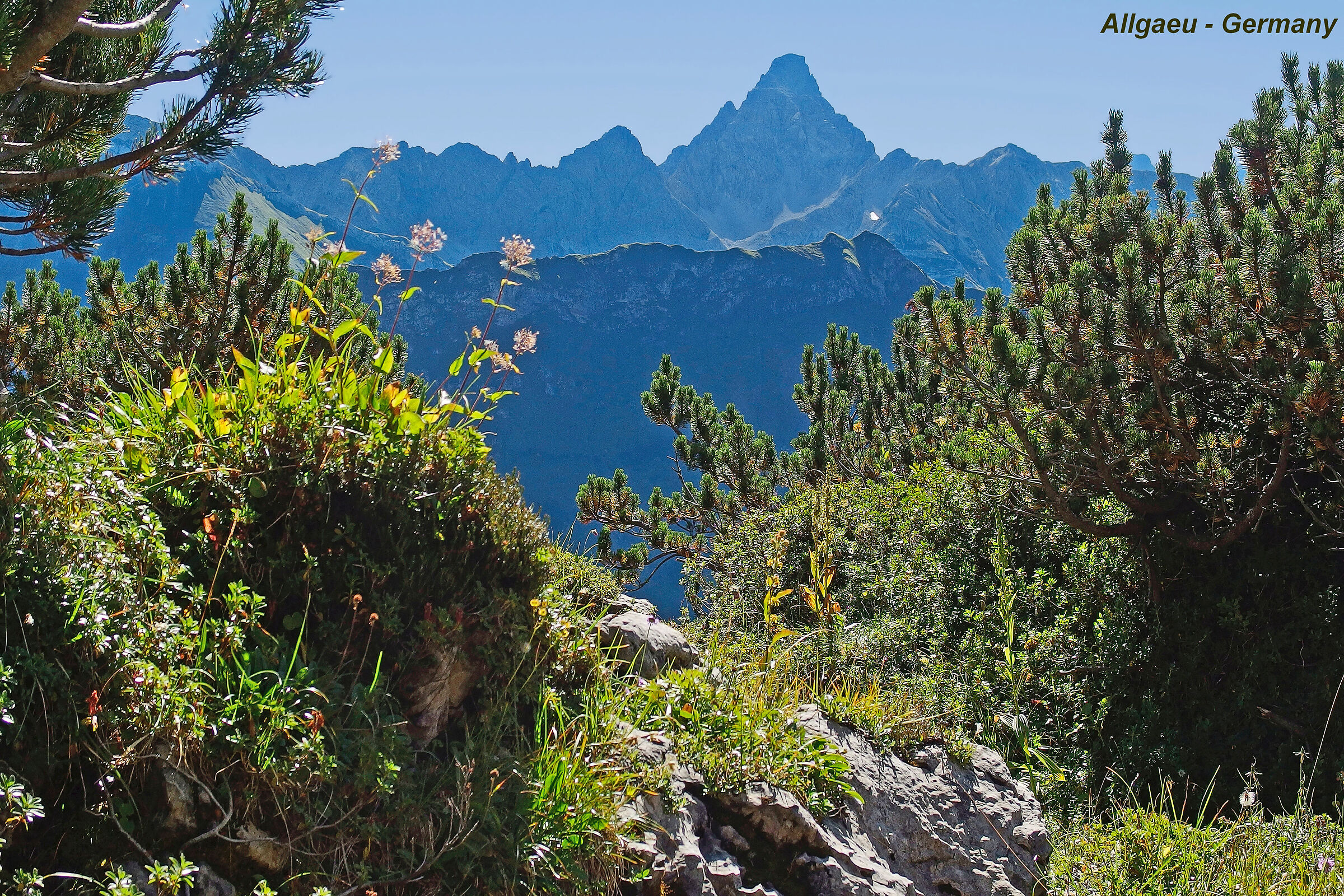 Hochvogel  Allgaeu Mountains - Germany
