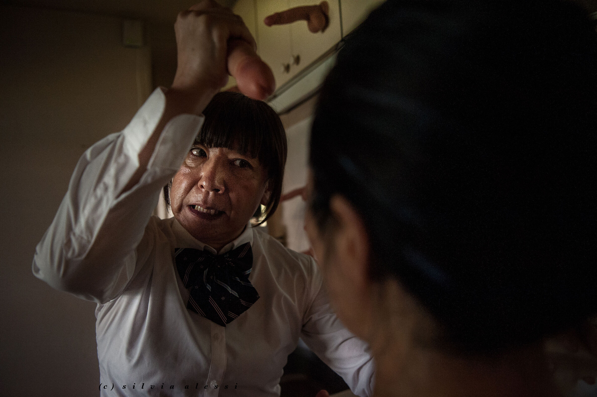 Metamorfosi e follia, Japan project