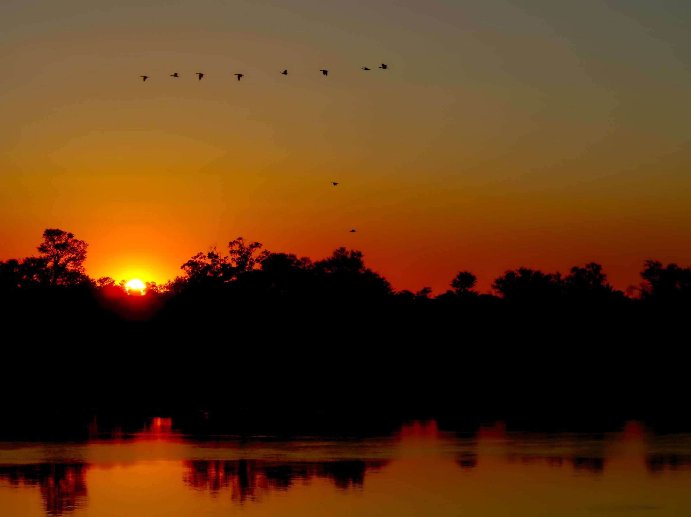 Sunrise over the Okawango River