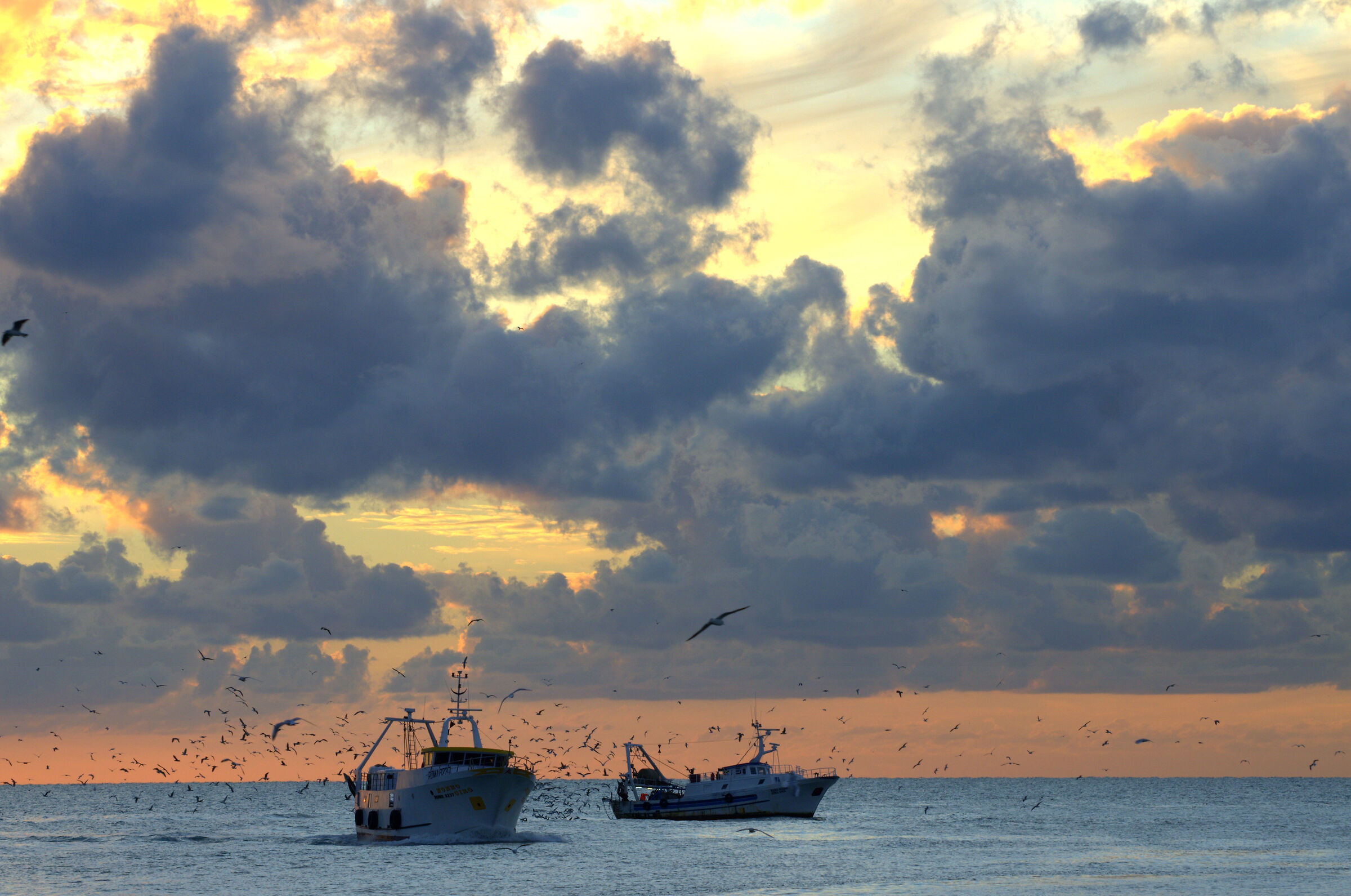 Pescherecci al tramonto