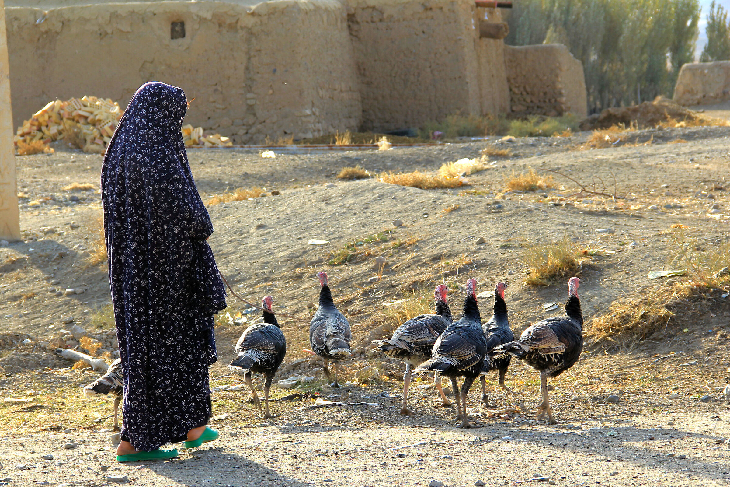 west Iranian village