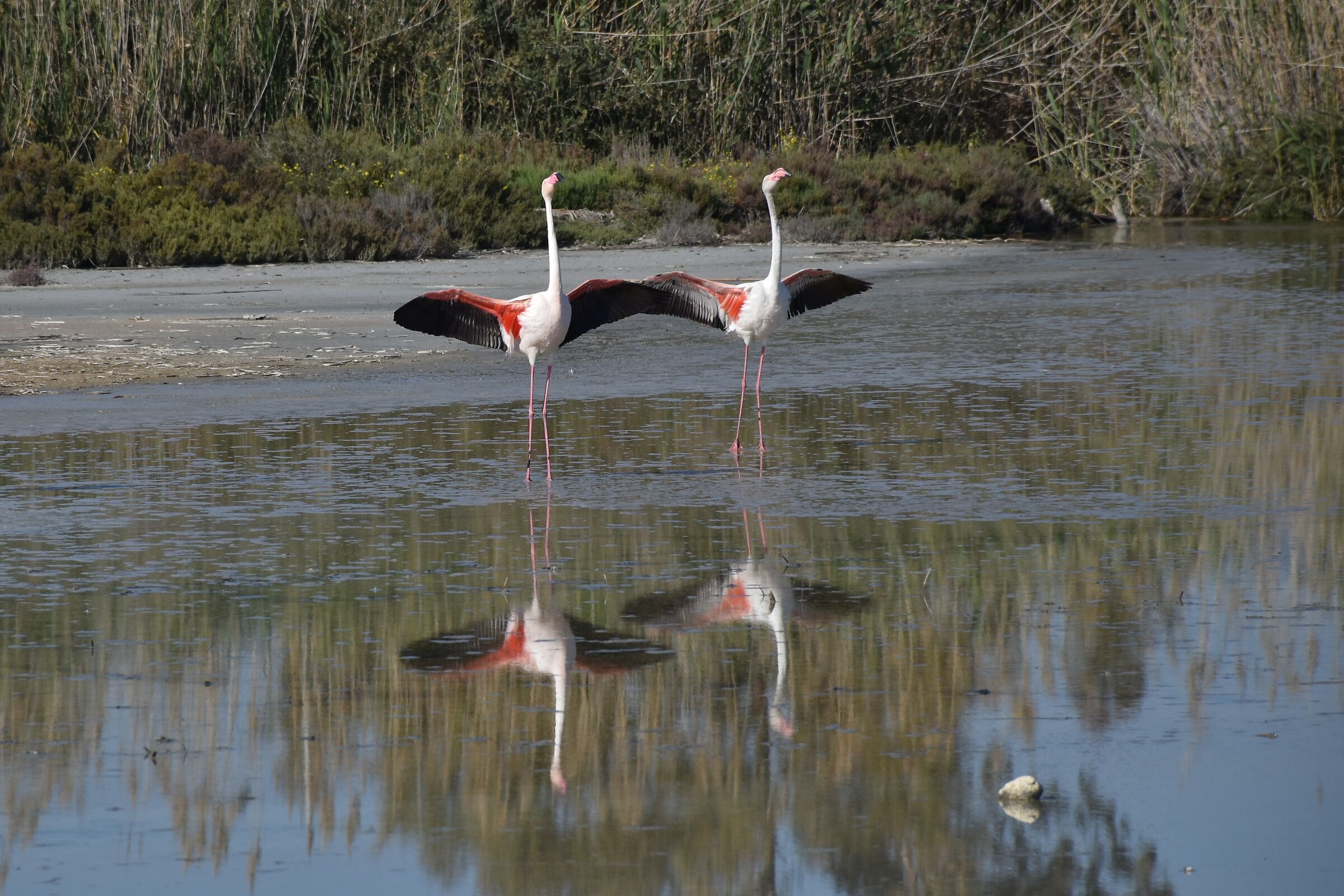 In perfect harmony....