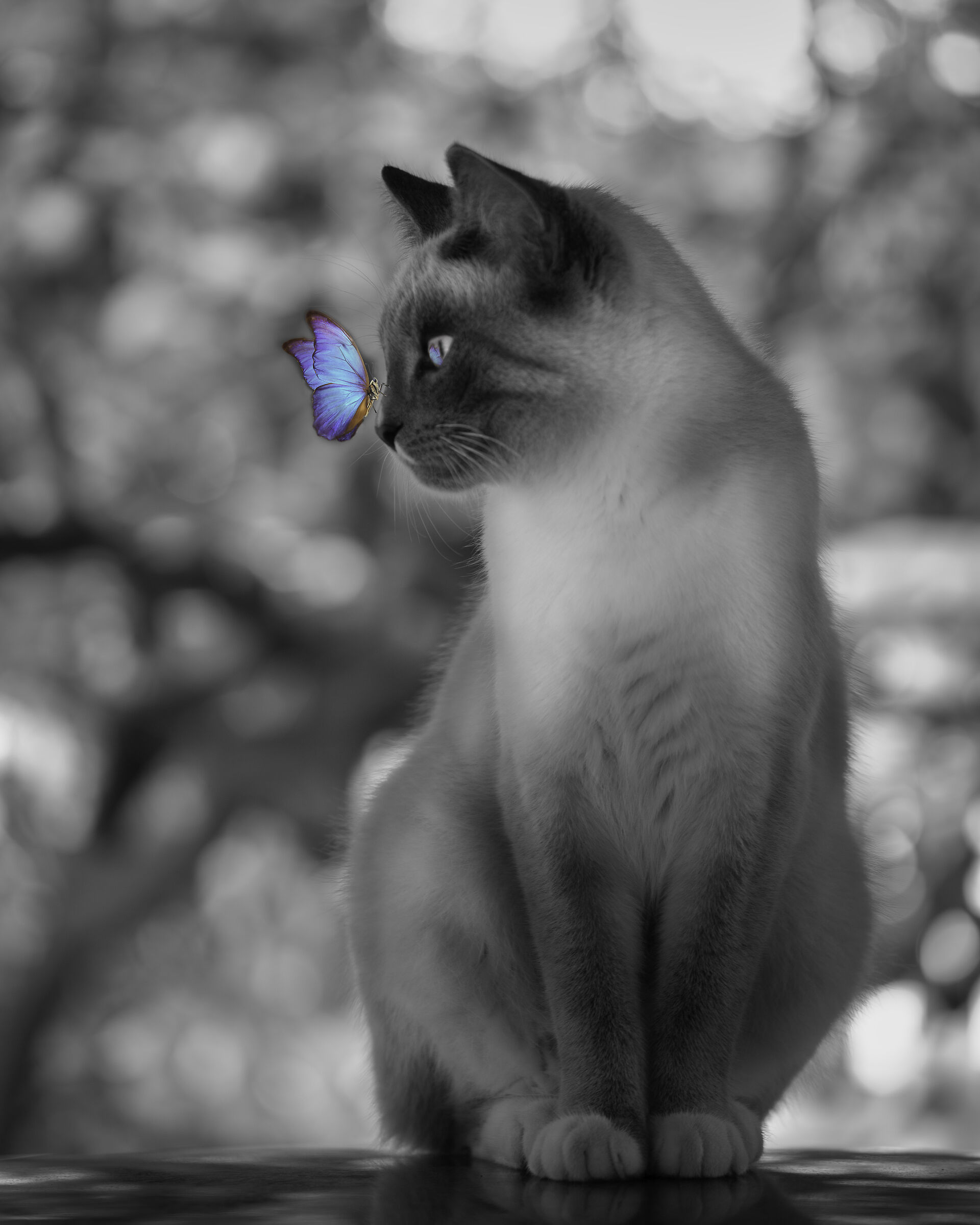 Artù e un amico immaginario