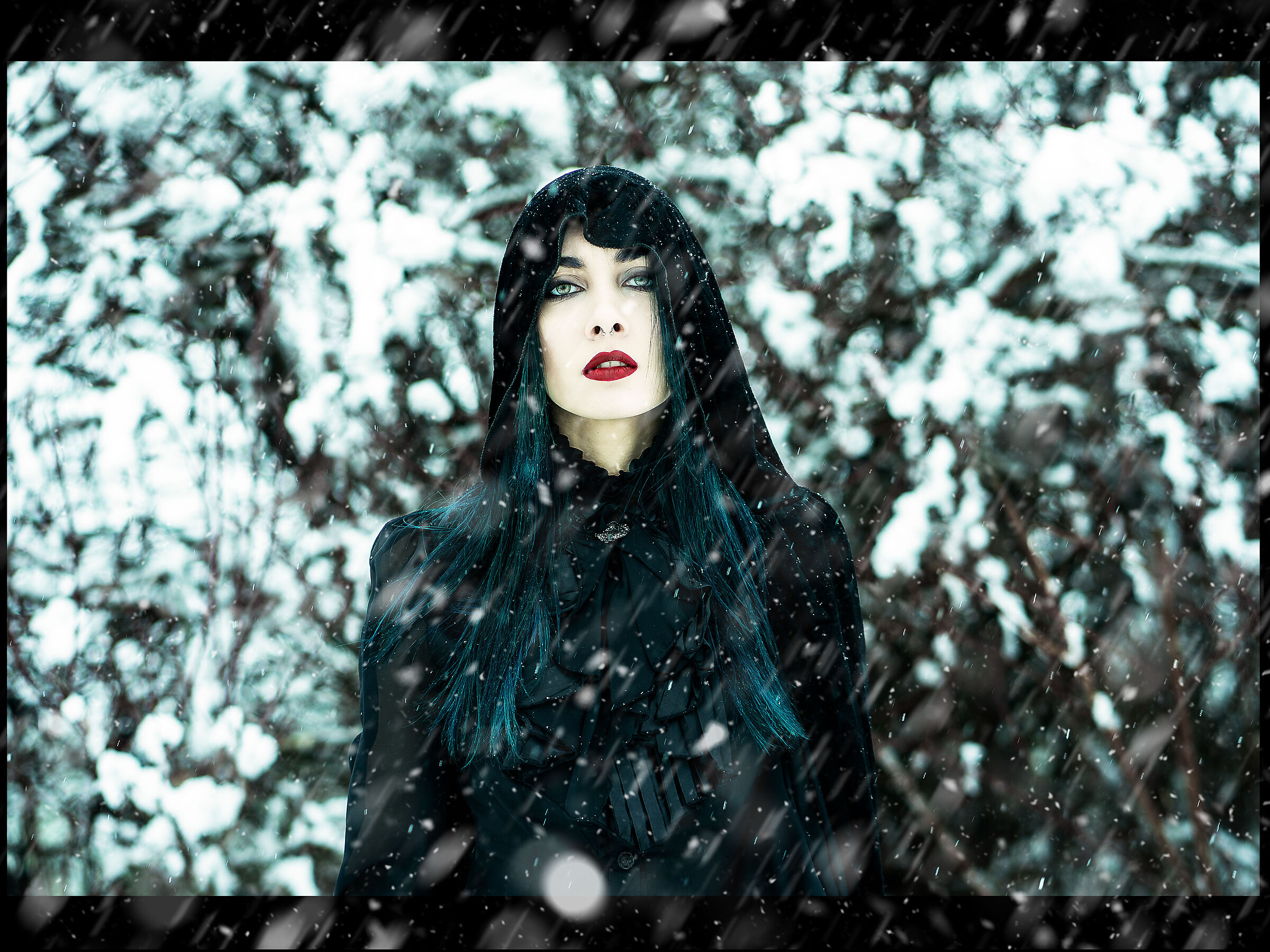 Neve Series