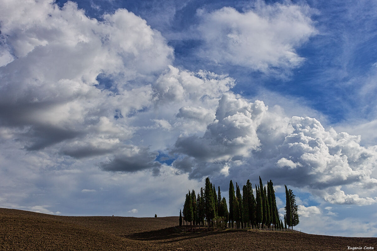 Clouds are the fantasies of the sky
