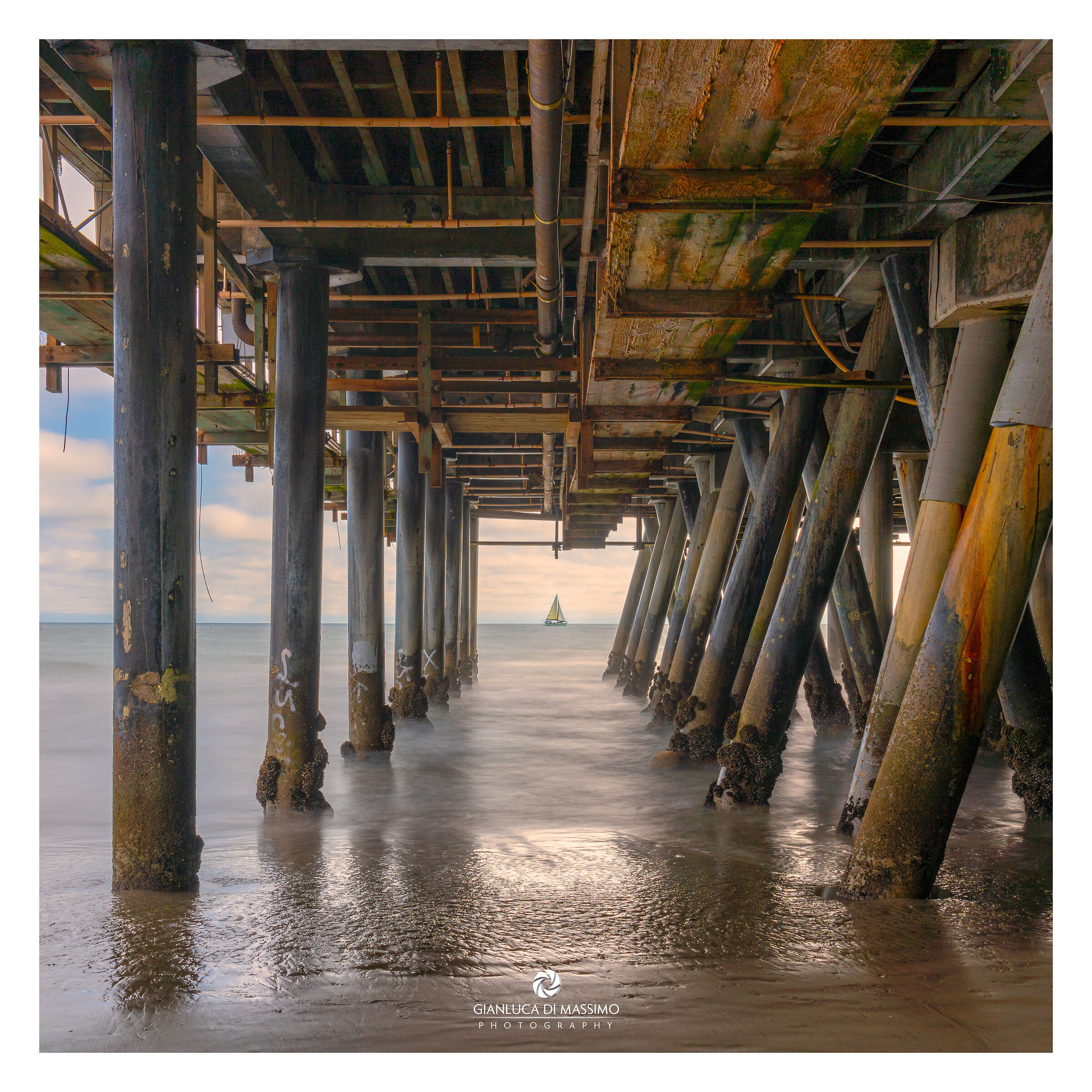 Under Santa Monica Pier