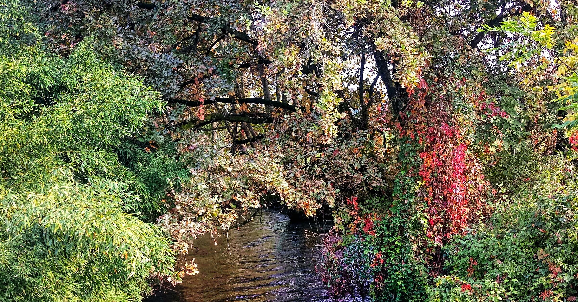 Prima vera primavera