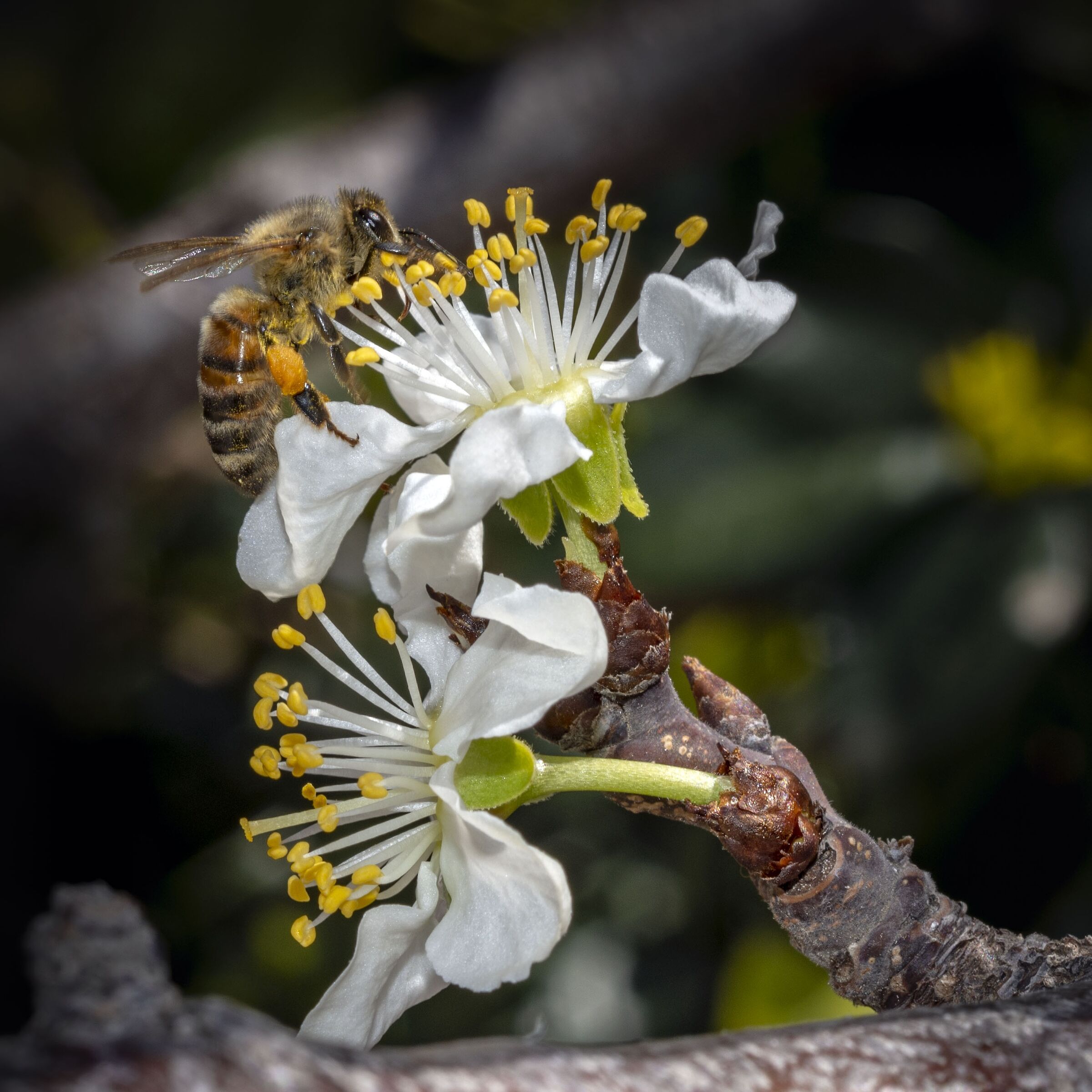 Speriamo che faccia un buon lavoro.