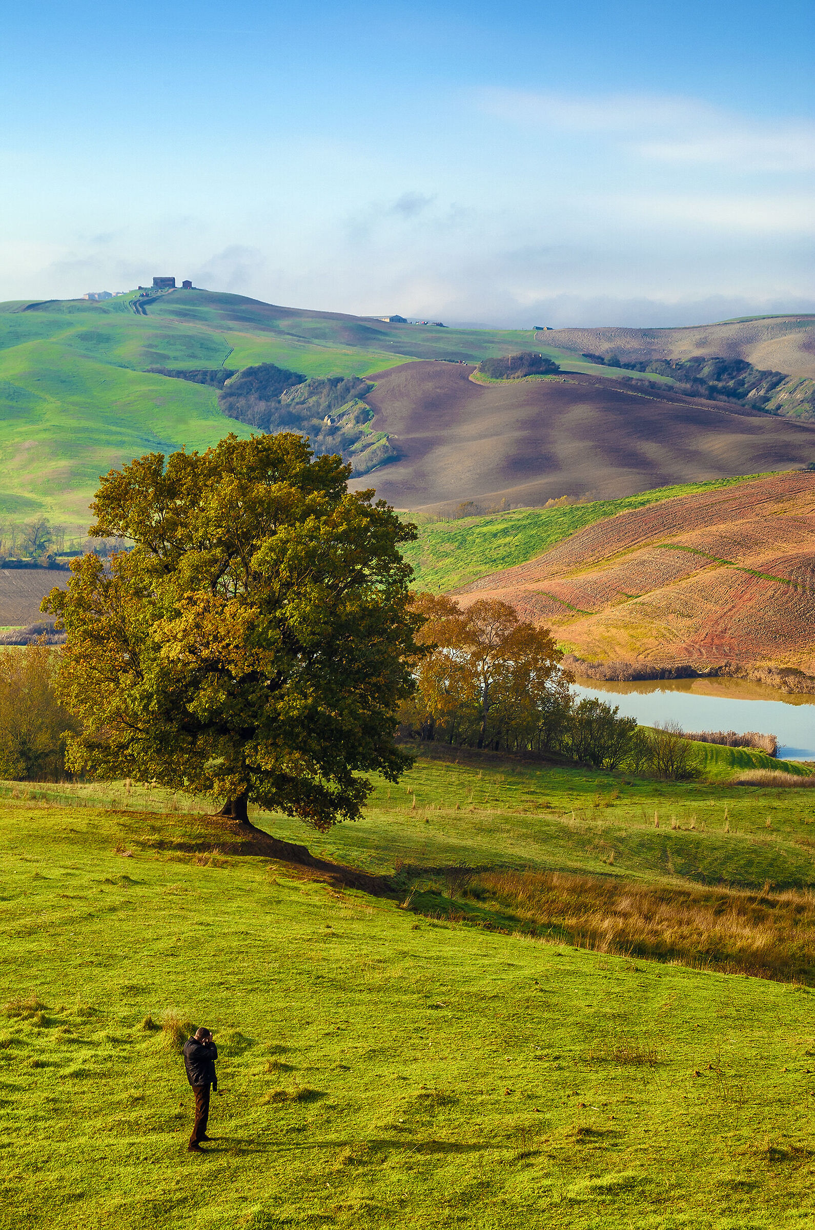 Sienese landscape