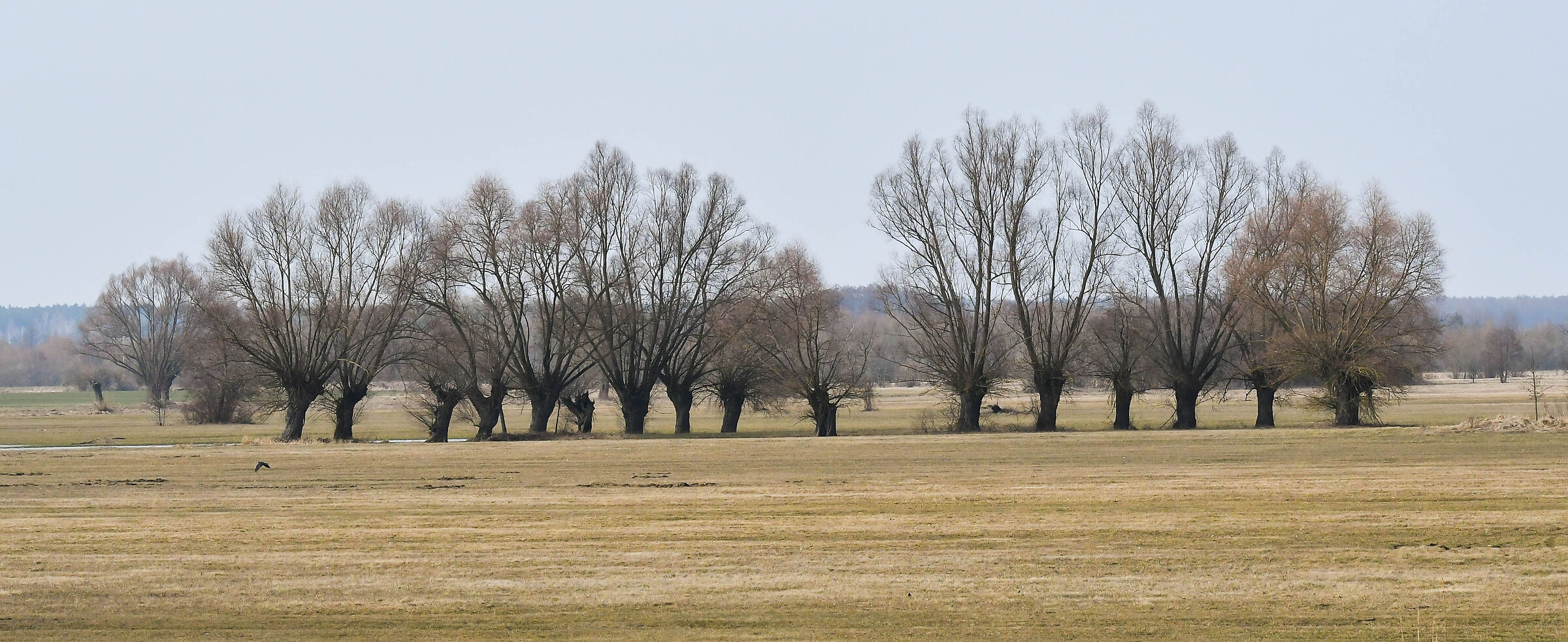 La valle del fiume Bug, marzo 2021