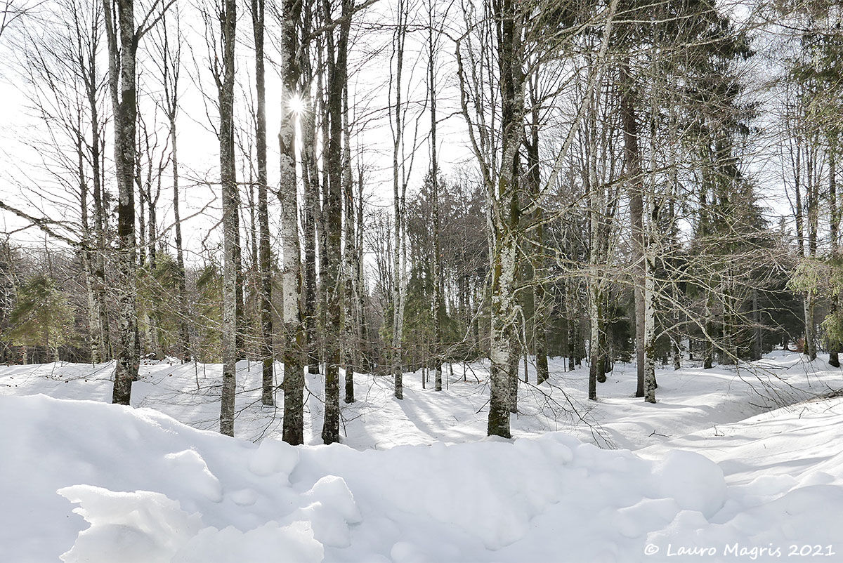 La morbidezza della neve