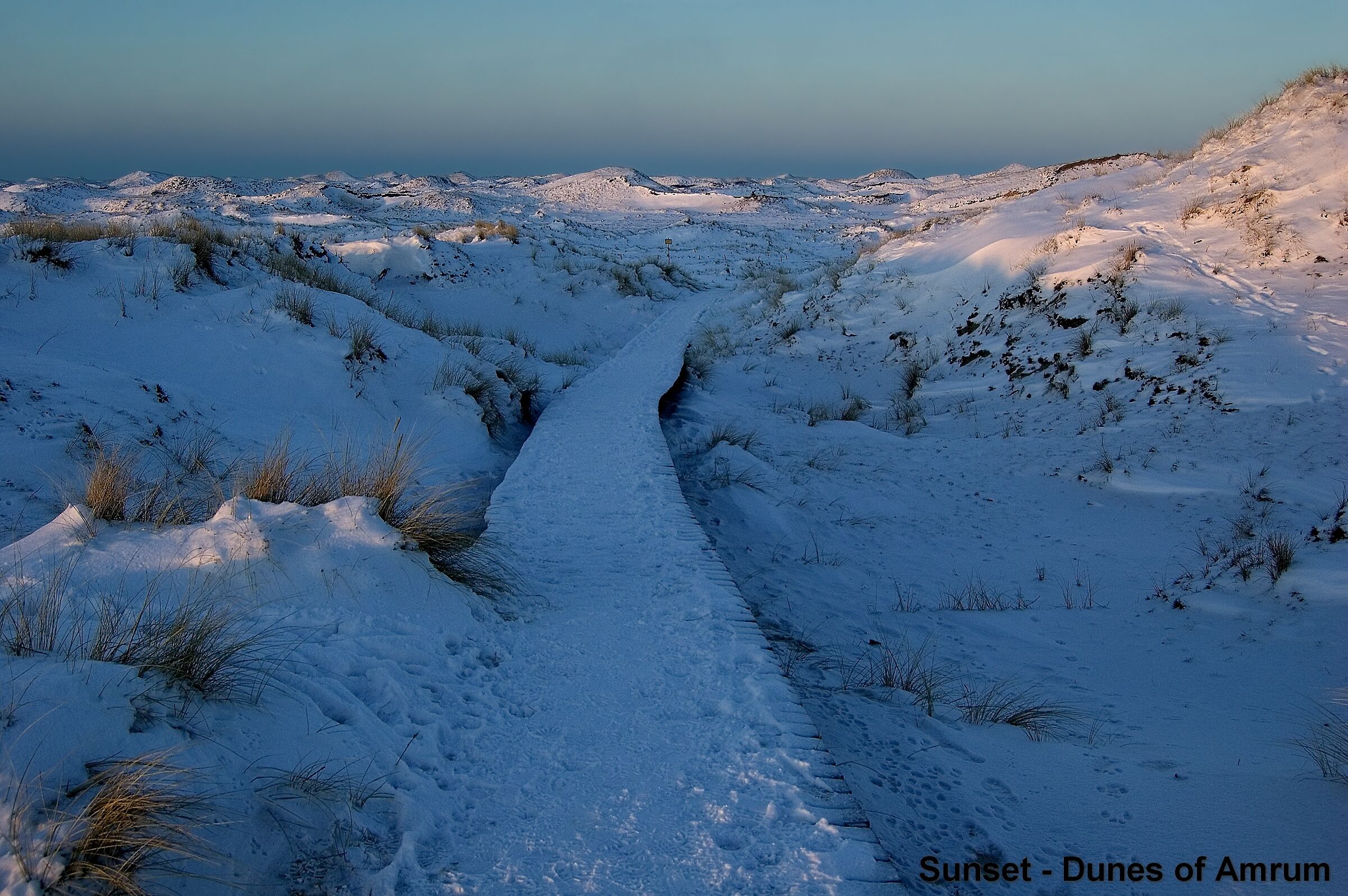 Dunes under snow - Amrum island