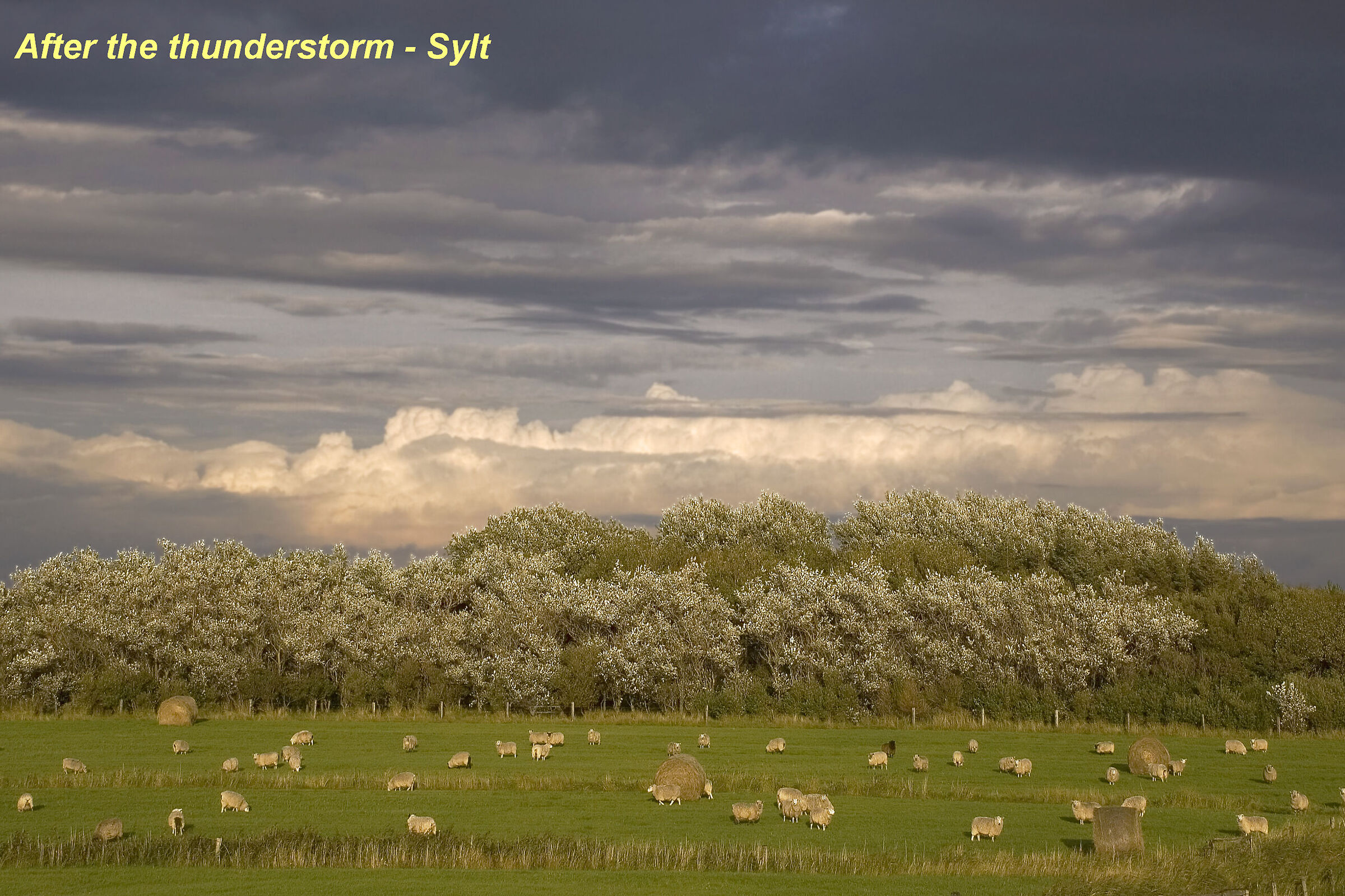 After the storm - Sylt island