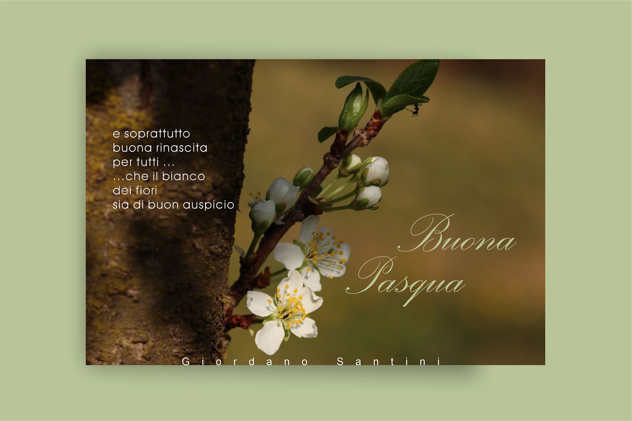 Easter greetings 2021