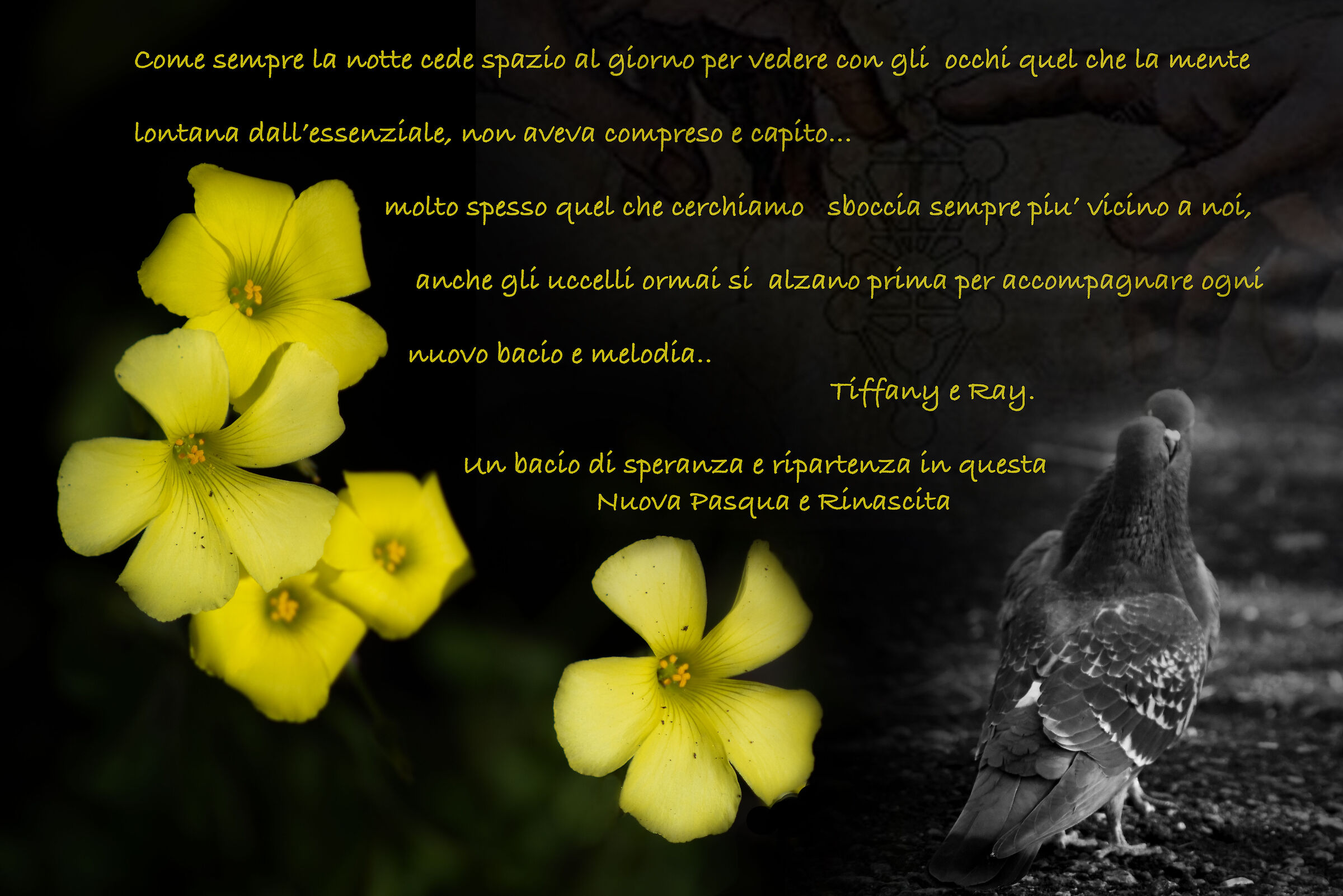 Verso il Domani...Con Voi e per Voi .. Buona Luce